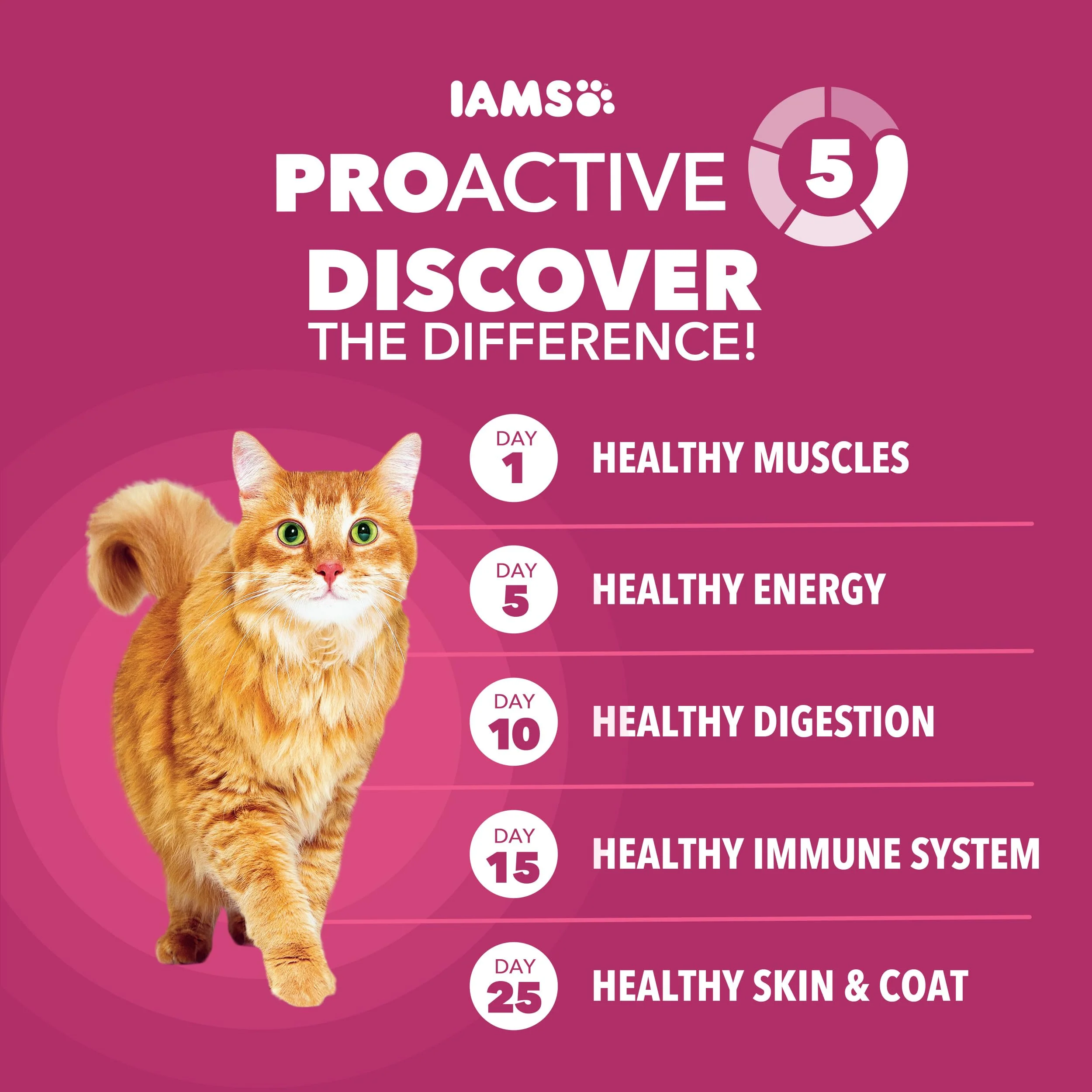 IAMS Proactive Health Dry Cat Food, Urinary Tract Health, Adult Cat Food Dry Recipe with Chicken, 3.5 lb. Bag - Image 6
