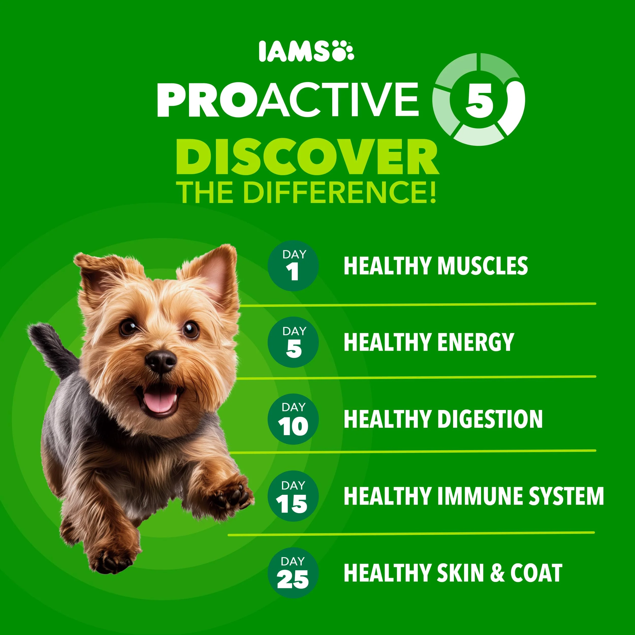 IAMS Proactive Health Dry Dog Food for Small Breeds, Adult Dog Food Dry Recipe, 7 lb. Bag - Image 9