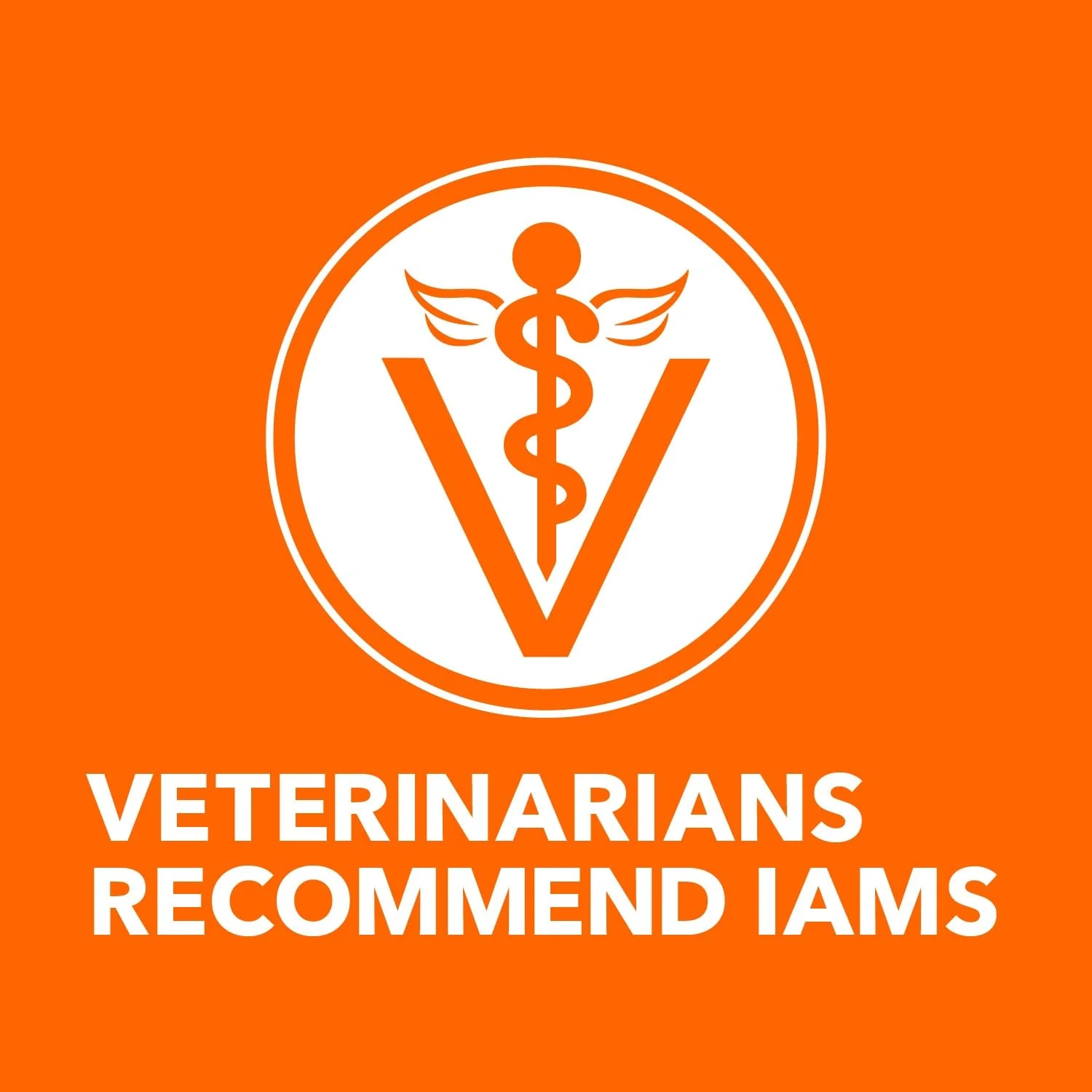 IAMS Proactive Health Long Hair Care Dry Cat Food, Adult Cat Food Dry Recipe with Real Chicken, 6 lb. Bag - Image 9