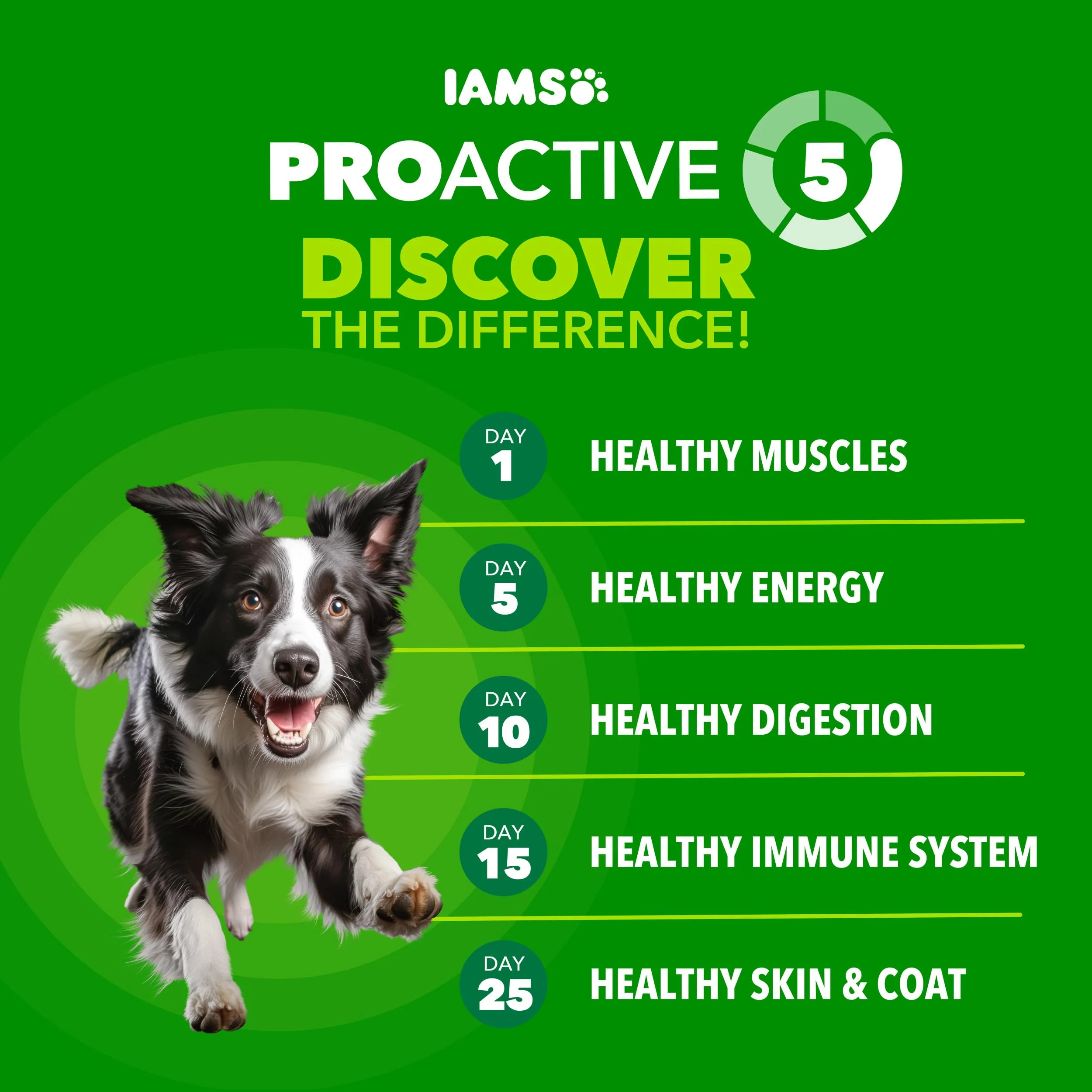 IAMS Proactive Health Minichunks Premium Dry Dog Food, Adult Dog Food Dry Recipe, 7 lb. Bag - Image 9