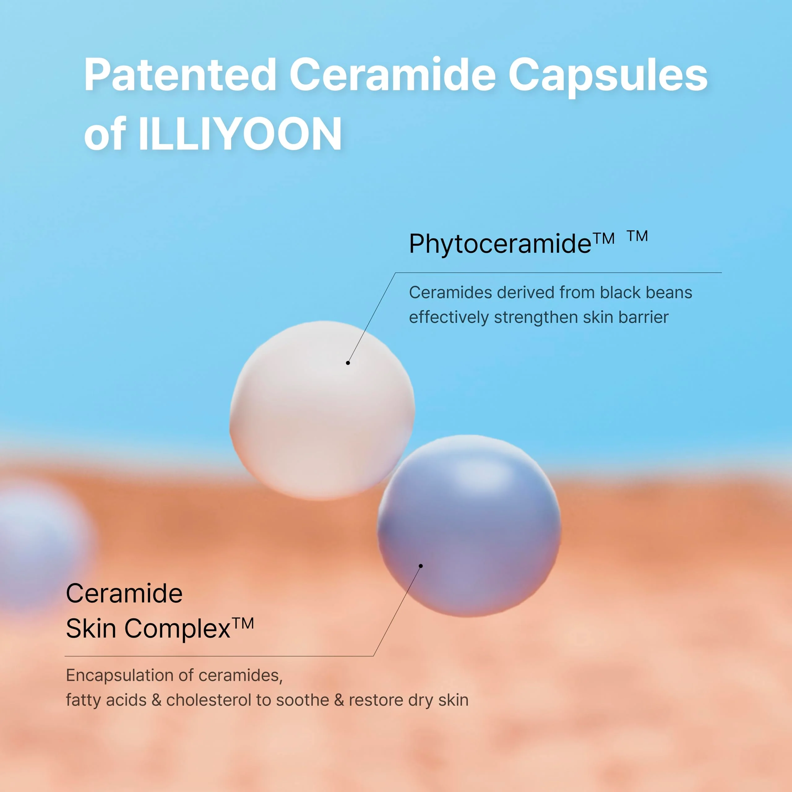 Illiyoon Ceramide Ato Concentrate Cream | Moisturizer for Dry & Sensitive Skin, 100hr Lasting Hydration, For Face & Body, Gentle for Infants, Moisture Barrier Repair, Vegan Certified, 2.53 fl.oz. - Image 6