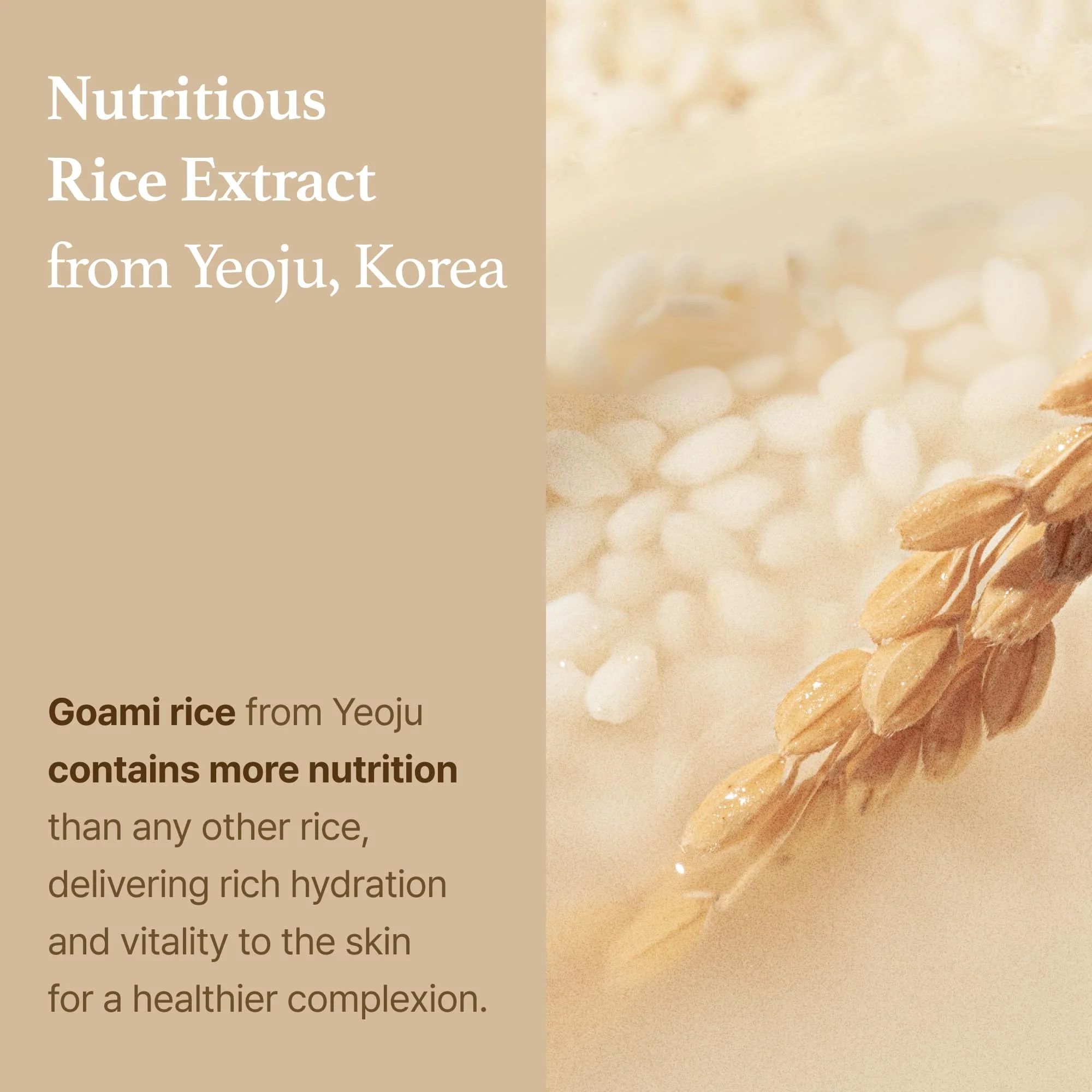 I'm from Rice Toner, Mini Size, Travel Essentials, Hydrating for Dry, Dull, Combination Skin, Vegan, Fragrance Free, Glass Skin, Korean Face Care 1.01 Fl Oz - Image 5