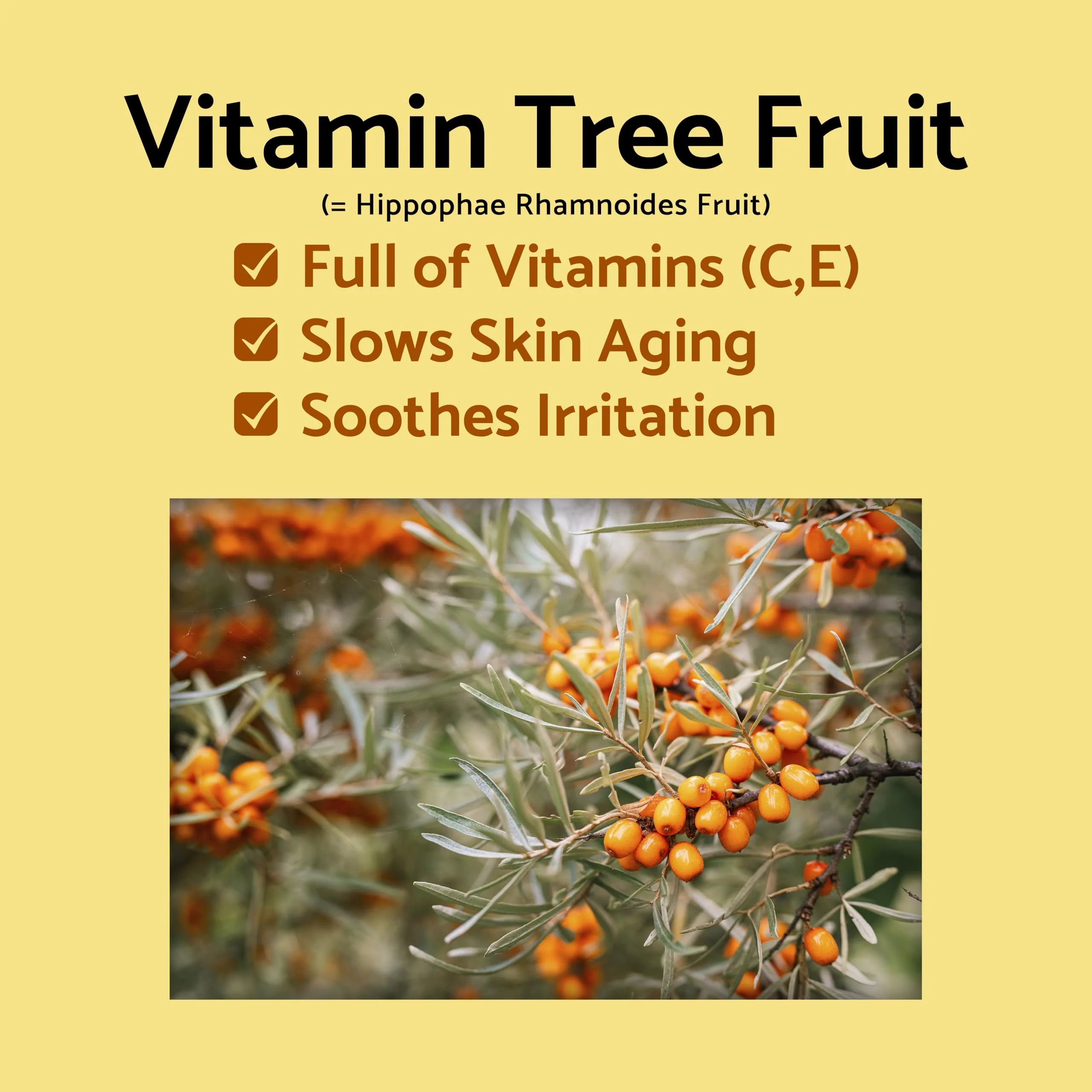iUNIK Propolis Vitamin Eye Cream Set (Eye Cream 1.01 fl.oz. & Mini Serum 0.51 fl.oz.) - Featuring Propolis Extract, Buckthorn - Image 6