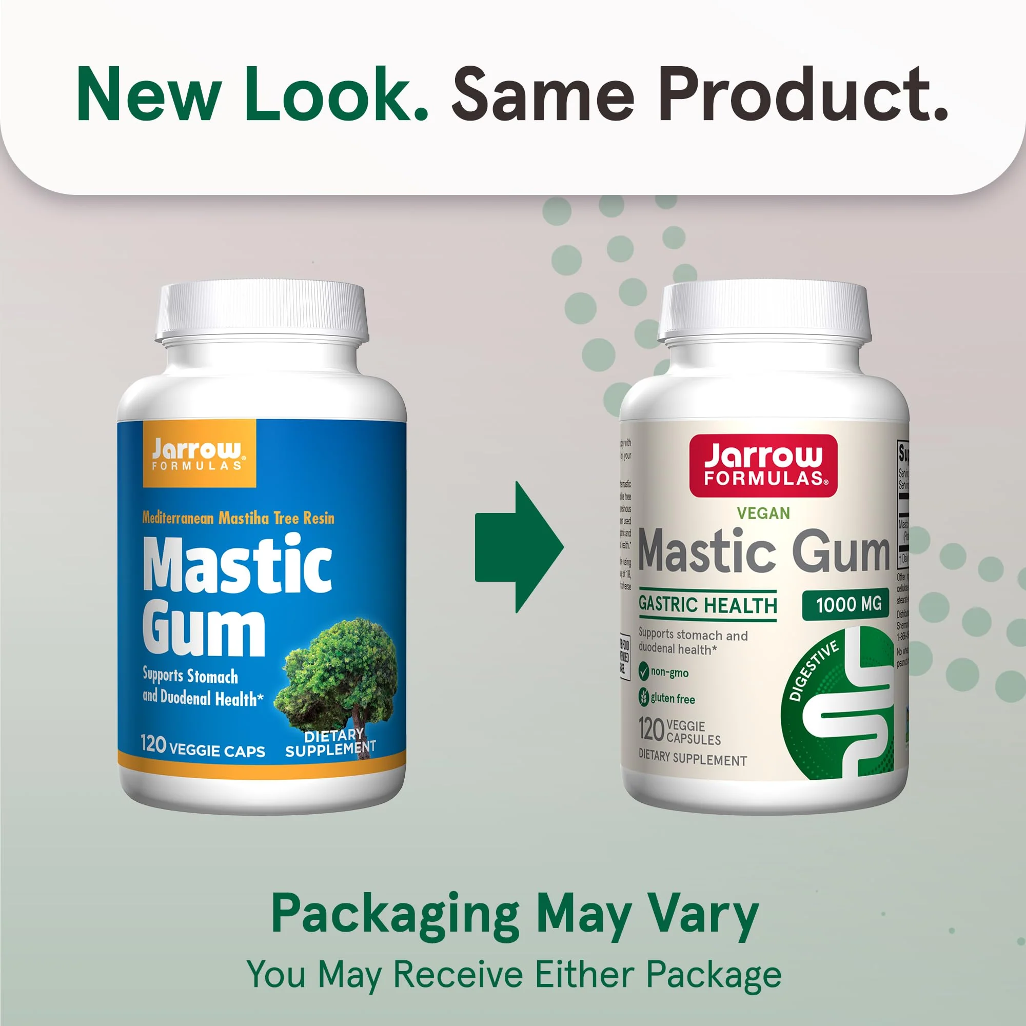 Jarrow Formulas Mastic Gum 1000 mg - 120 Veggie Caps - Mastic Gum Capsules Supporting Stomach and Duodenal Health - 60 Servings - Image 2