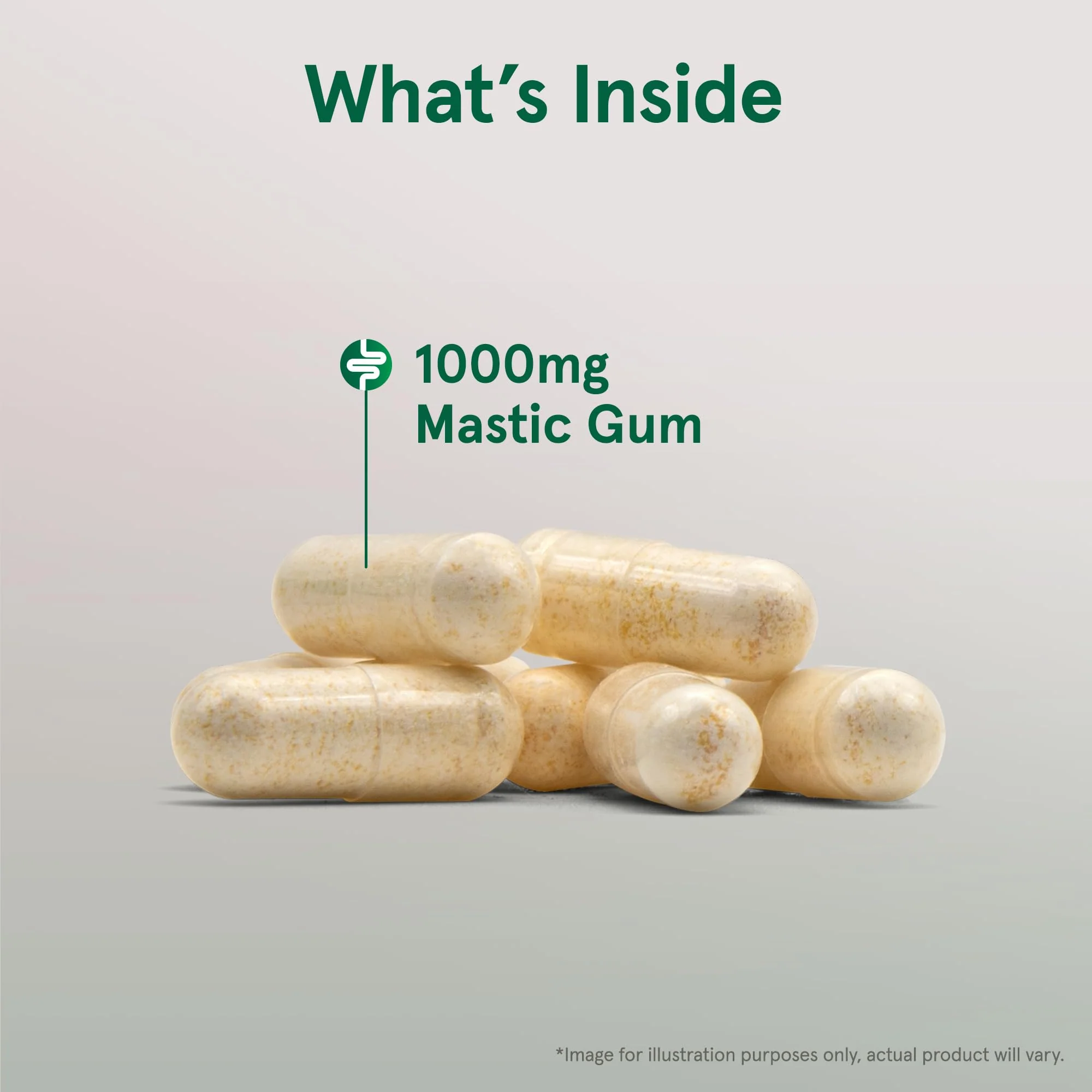 Jarrow Formulas Mastic Gum 1000 mg - 120 Veggie Caps - Mastic Gum Capsules Supporting Stomach and Duodenal Health - 60 Servings - Image 3