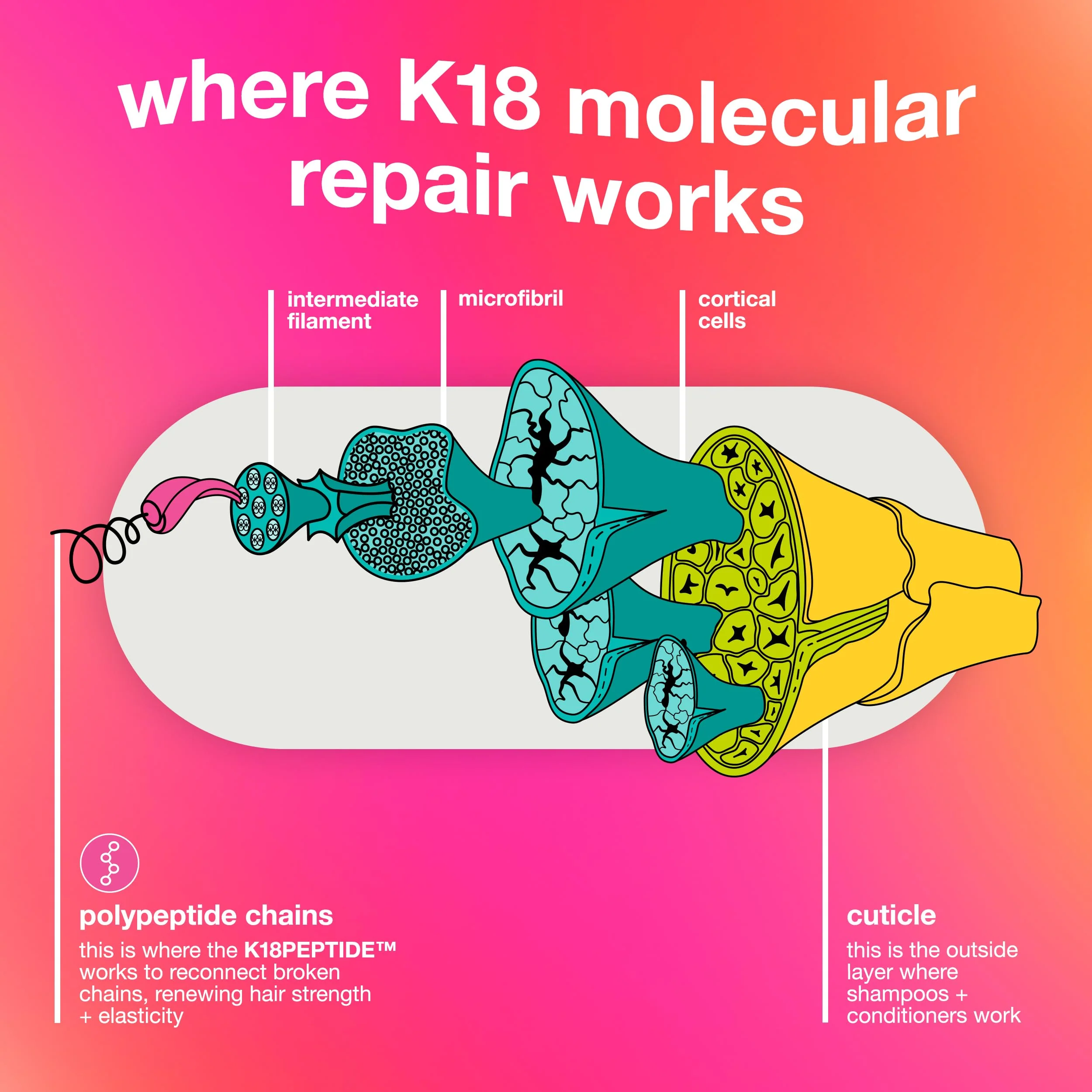 K18 Leave-In Molecular Repair Hair Mask, Patented, Lasting Repair For Dry, Frizzy, Damaged Hair, Reverse Damage In 4 Minutes From Bleach, Color, Chemical Services + Heat - Image 5