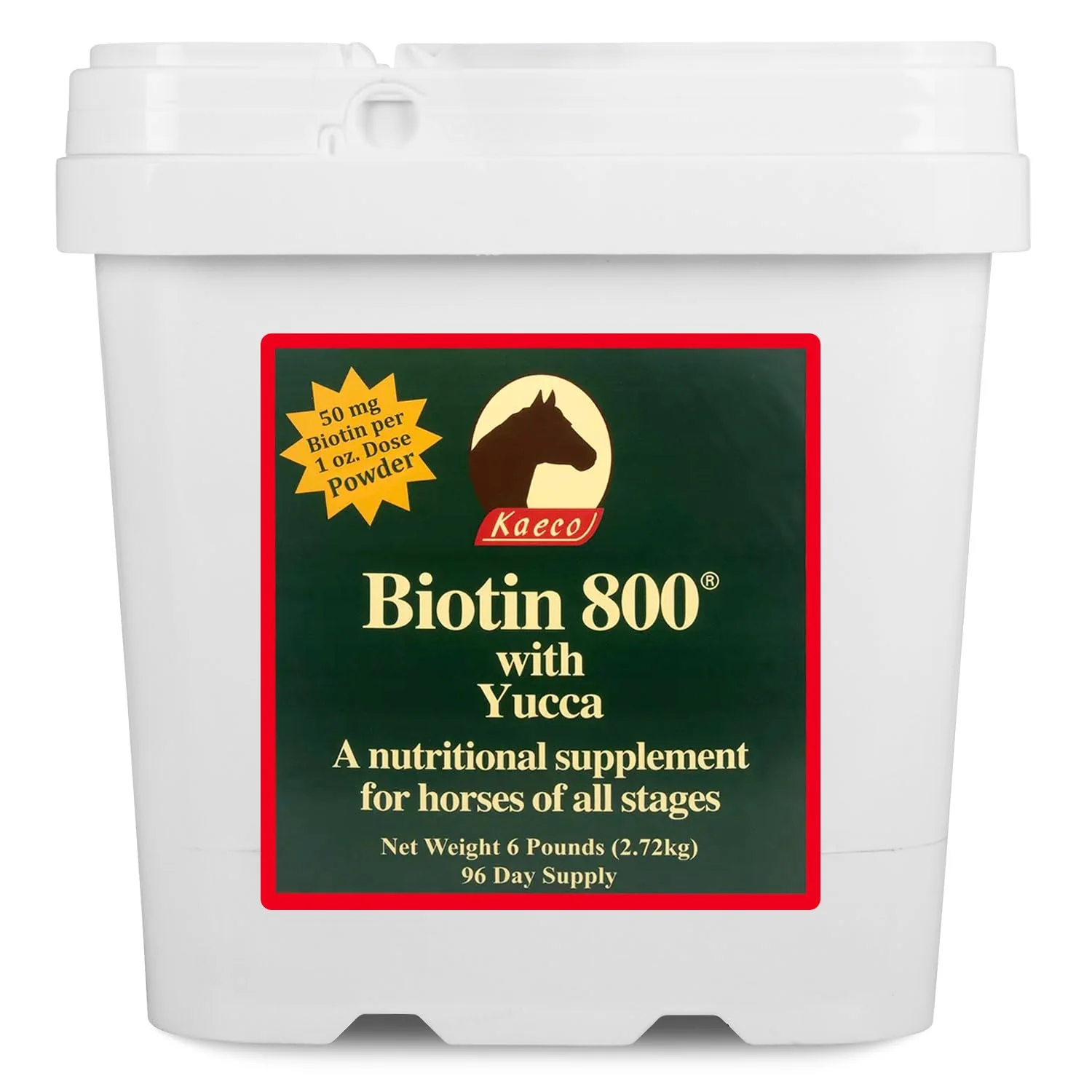 KAECO GROUP INC BIOTIN 800 Powder 6LB D/S