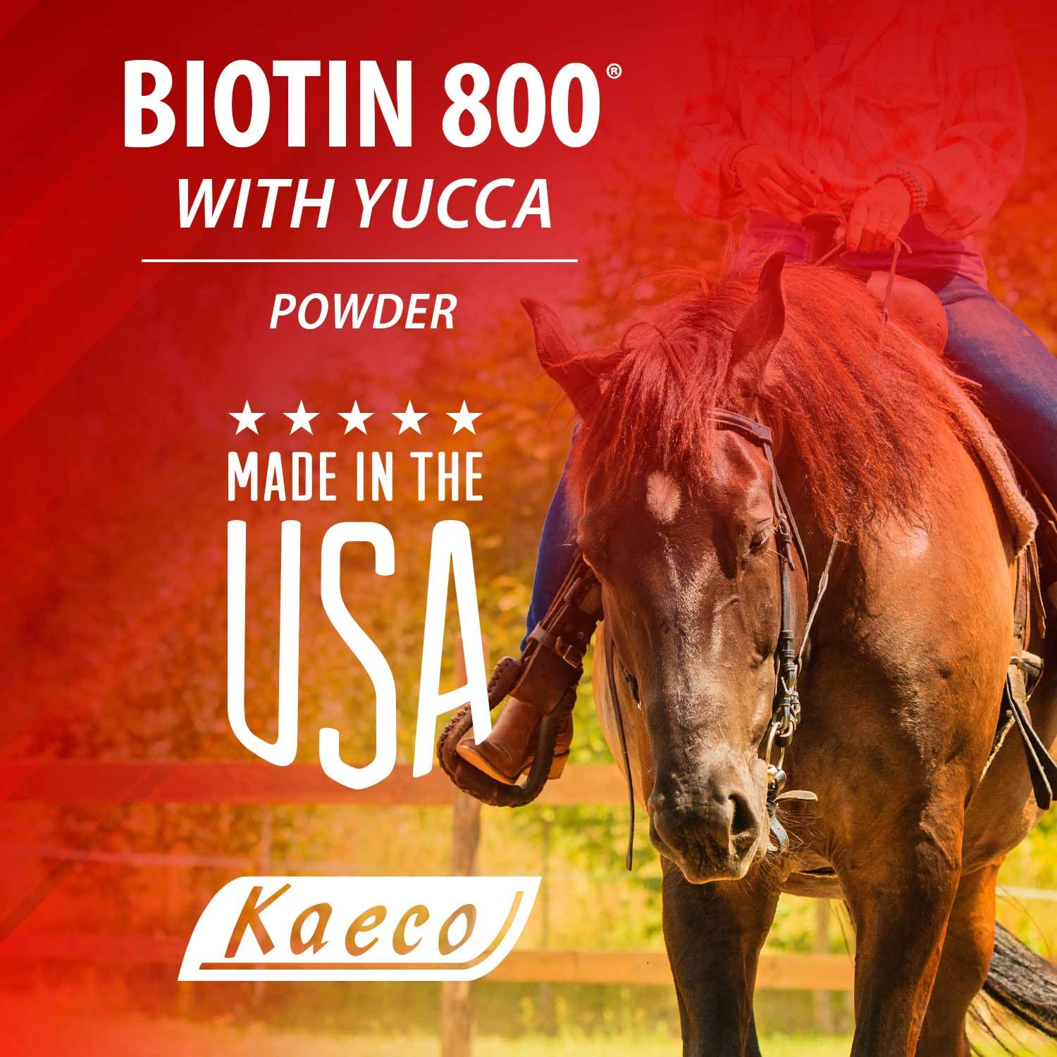 KAECO GROUP INC BIOTIN 800 Powder 6LB D/S - Image 4
