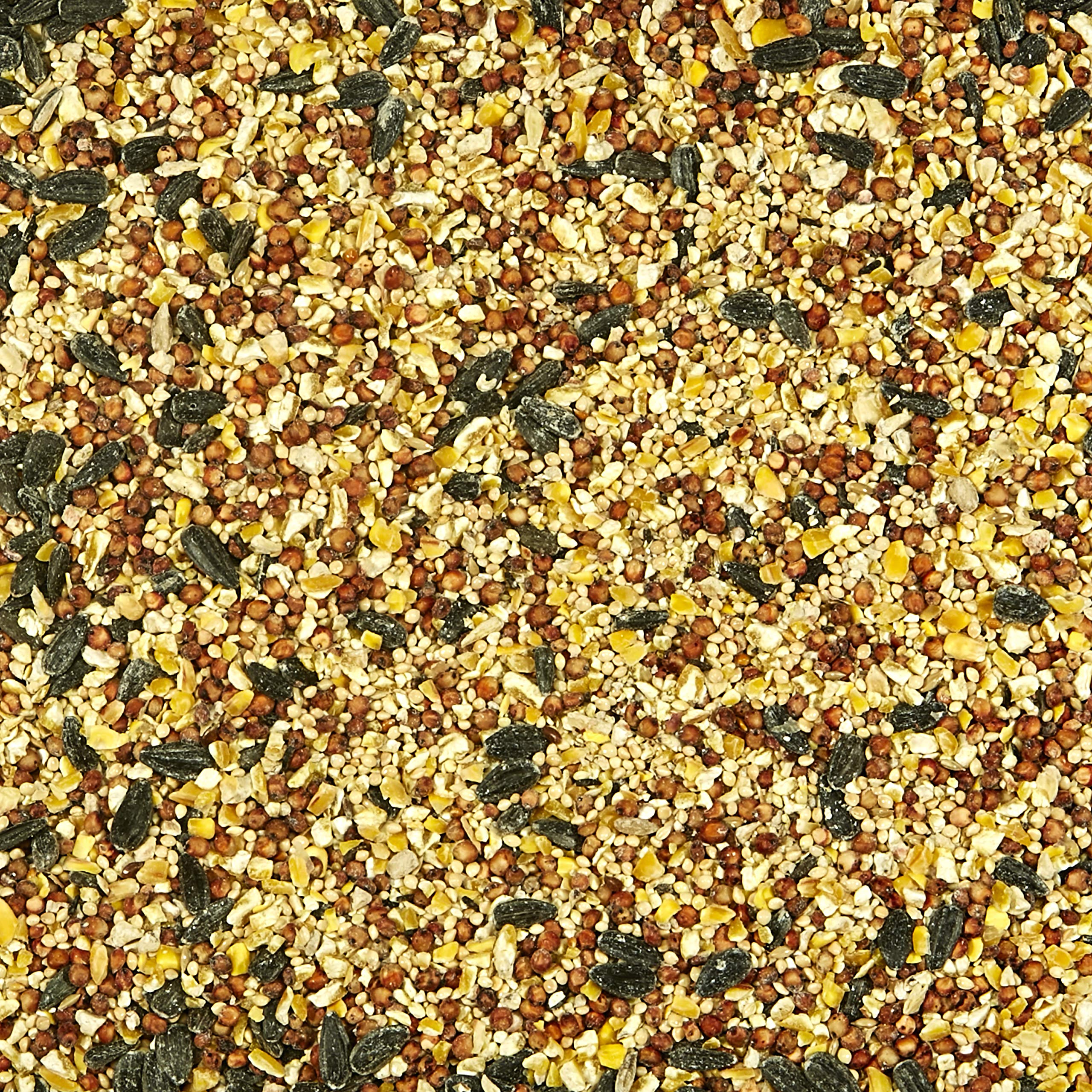 Kaytee All American Wild Bird Food Seed Blend for Cardinals, Blue Jays, Finches & Other Outdoor Wild Birds, 5 Pounds - Image 12