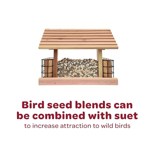 Kaytee All American Wild Bird Food Seed Blend for Cardinals, Blue Jays, Finches & Other Outdoor Wild Birds, 5 Pounds - Image 3