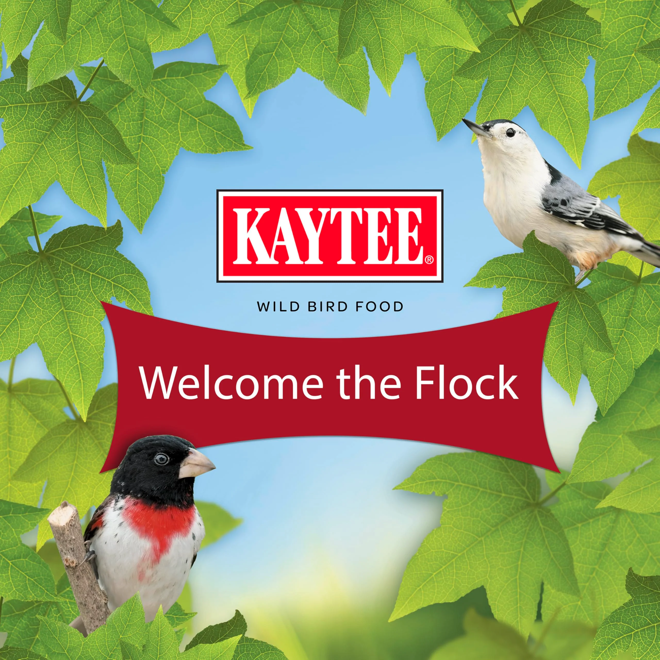 Kaytee All American Wild Bird Food Seed Blend for Cardinals, Blue Jays, Finches & Other Outdoor Wild Birds, 5 Pounds - Image 5