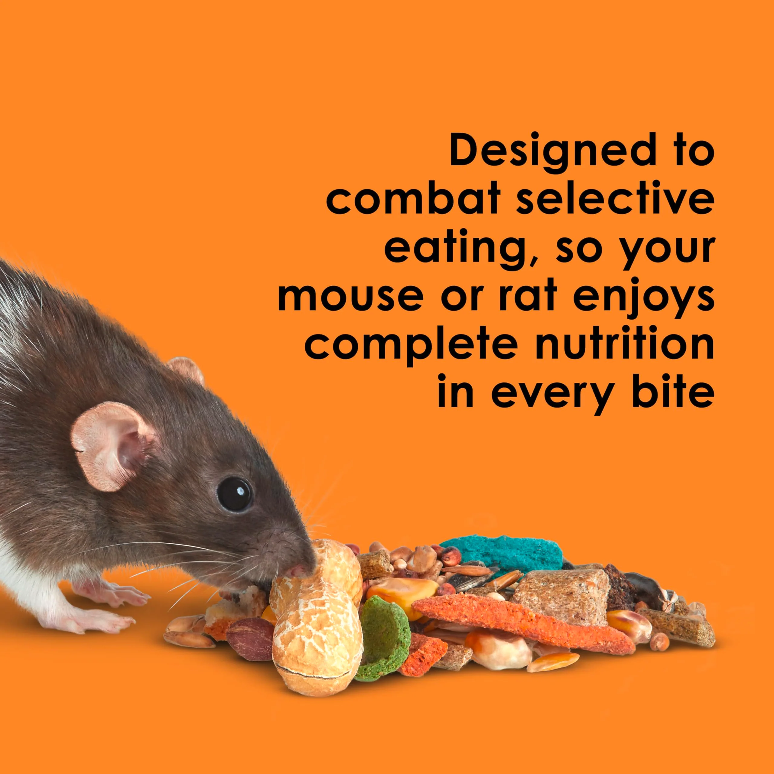 Kaytee Fiesta Mouse & Rat Food, Nutritious and Fun Blend, Supports Dental Health and Digestion, 4.5 pounds - Image 10