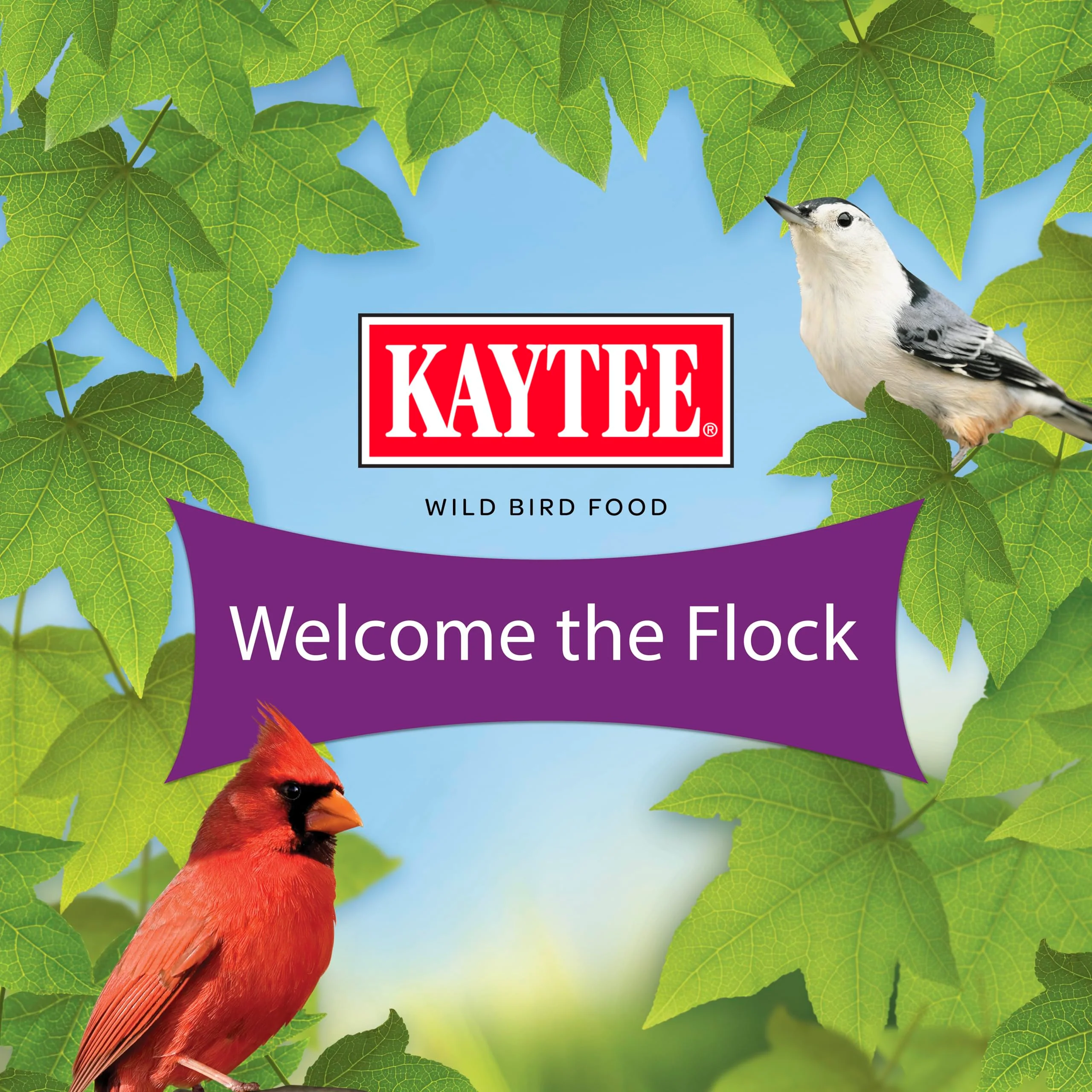 Kaytee Nut & Fruit Wild Bird Seed, 5 lb - Image 5