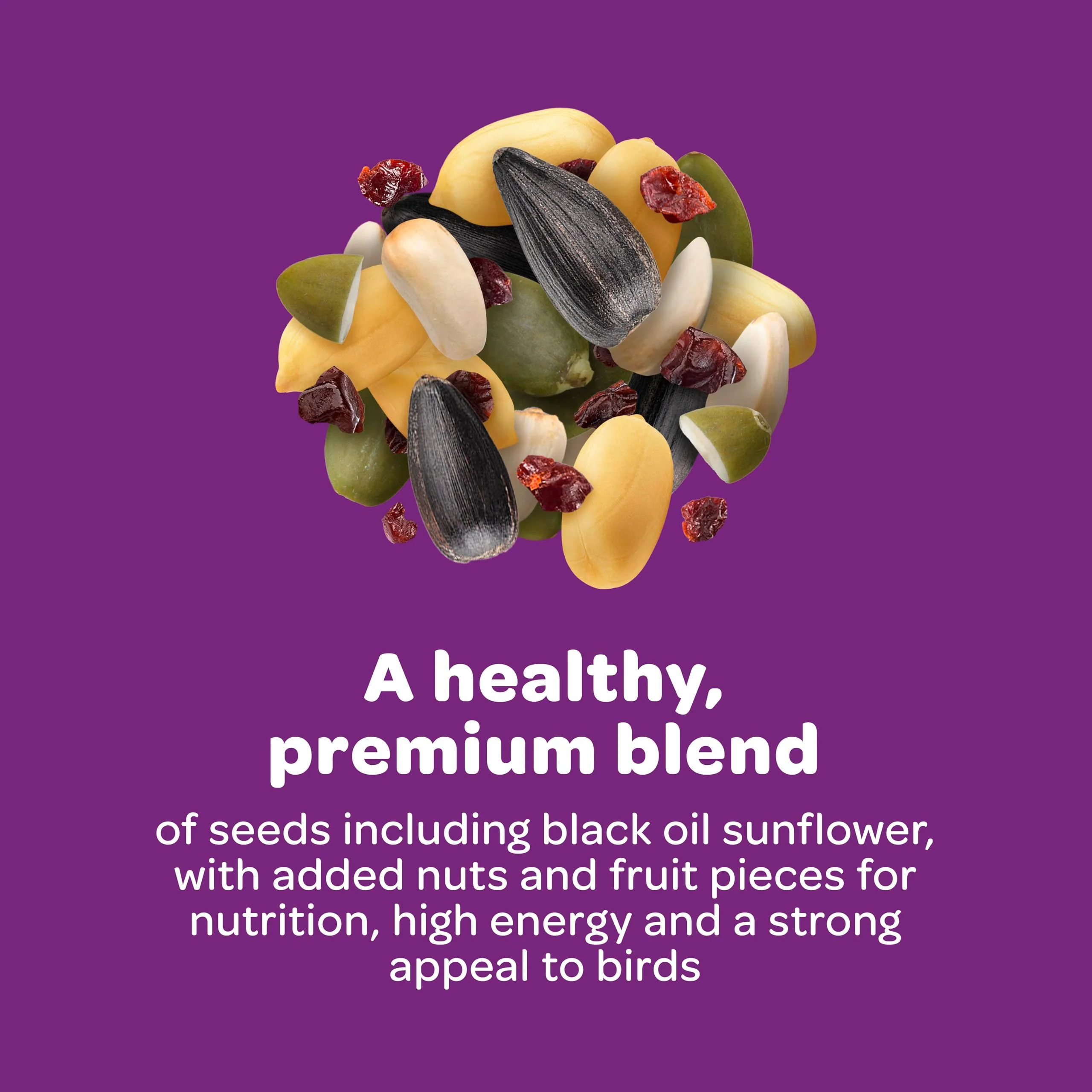 Kaytee Nut & Fruit Wild Bird Seed, 5 lb - Image 8