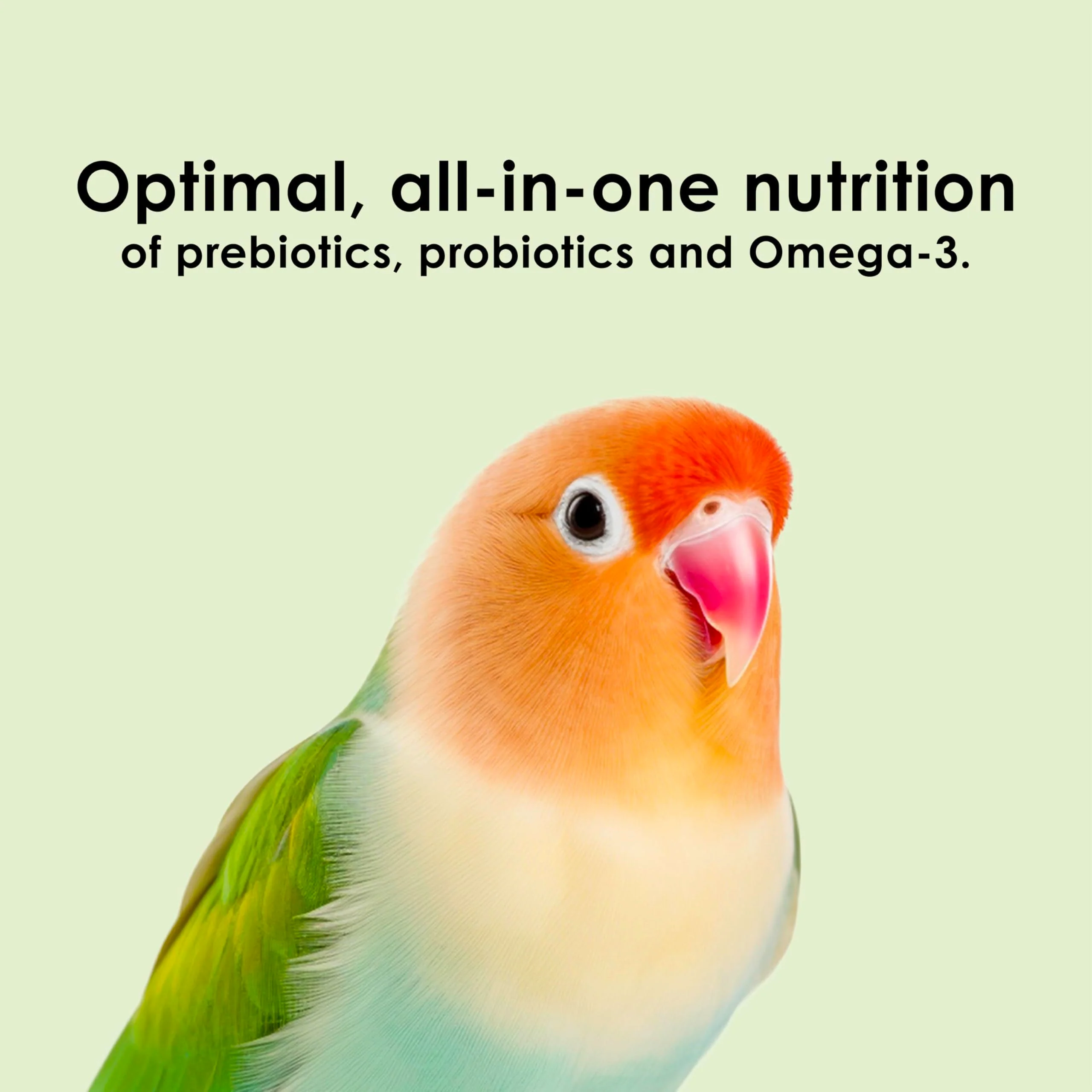 Kaytee Nutri Soft Pet Parrot & Conure Bird Food, 3 Pound - Image 6