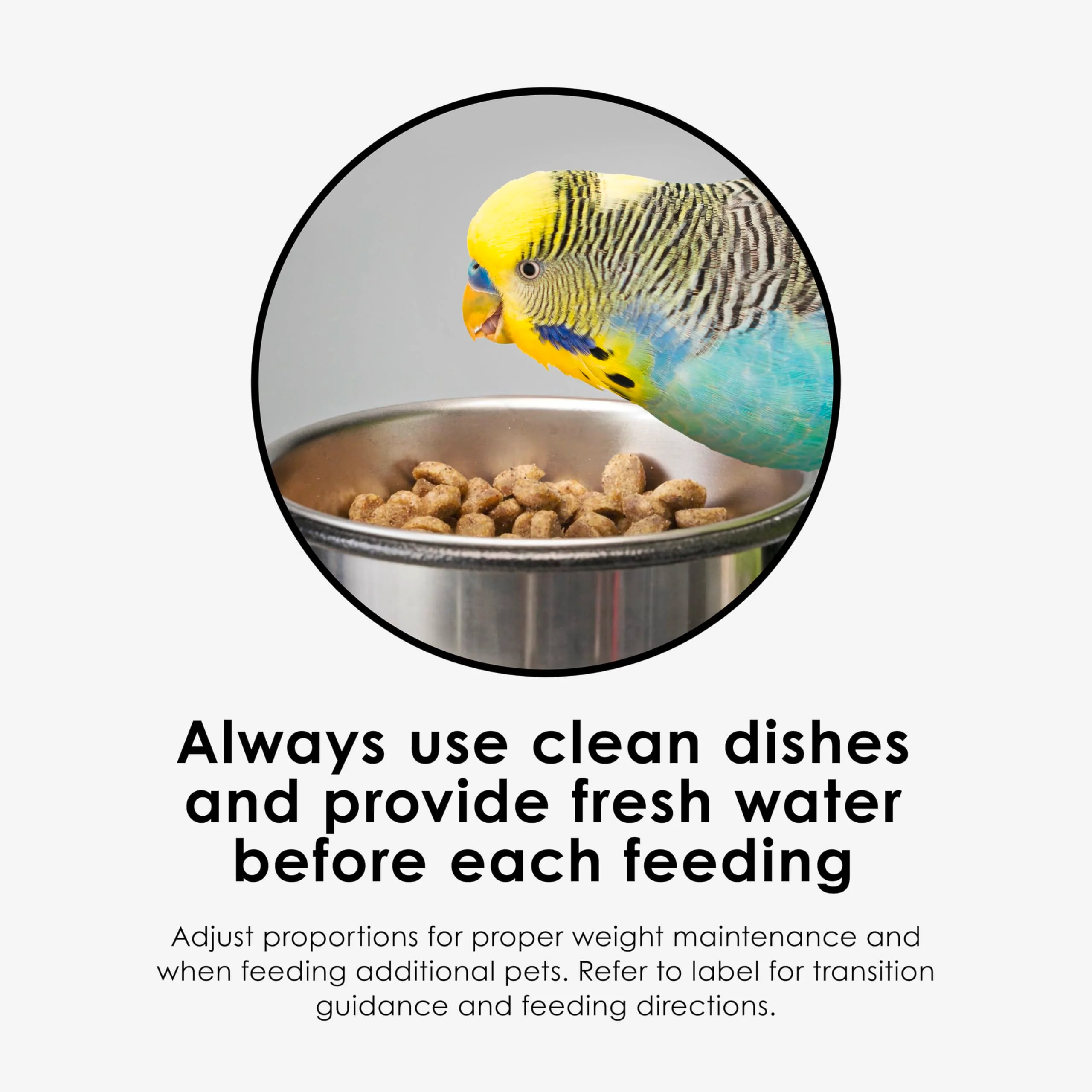 Kaytee NutriSoft Pet Parakeet & Cockatiel Bird Food, 2 lb - Image 6