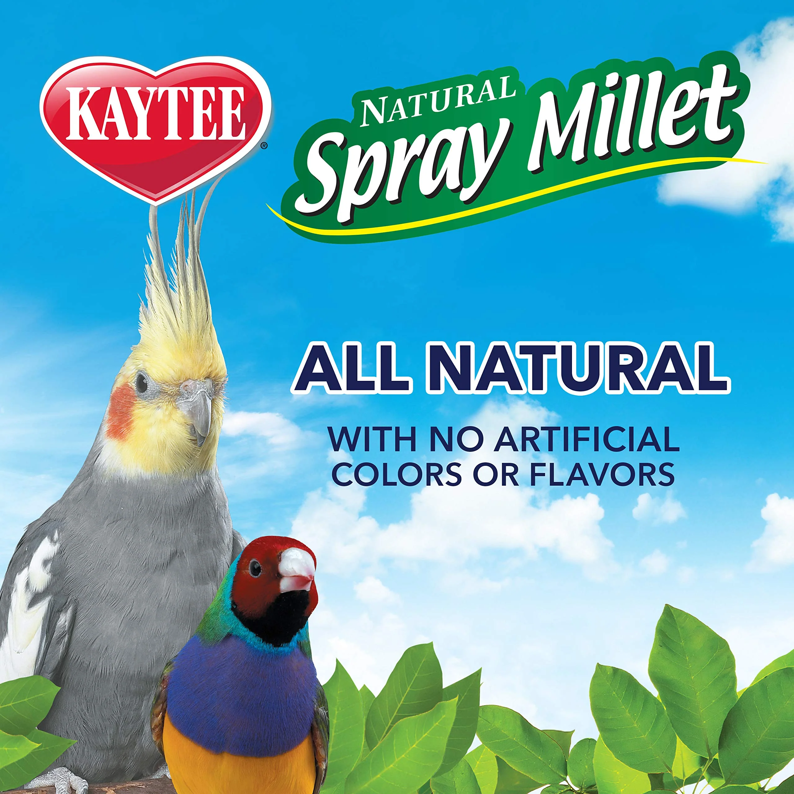 Kaytee Spray Millet Treat for Pet Birds, 3 Ounce - Image 2