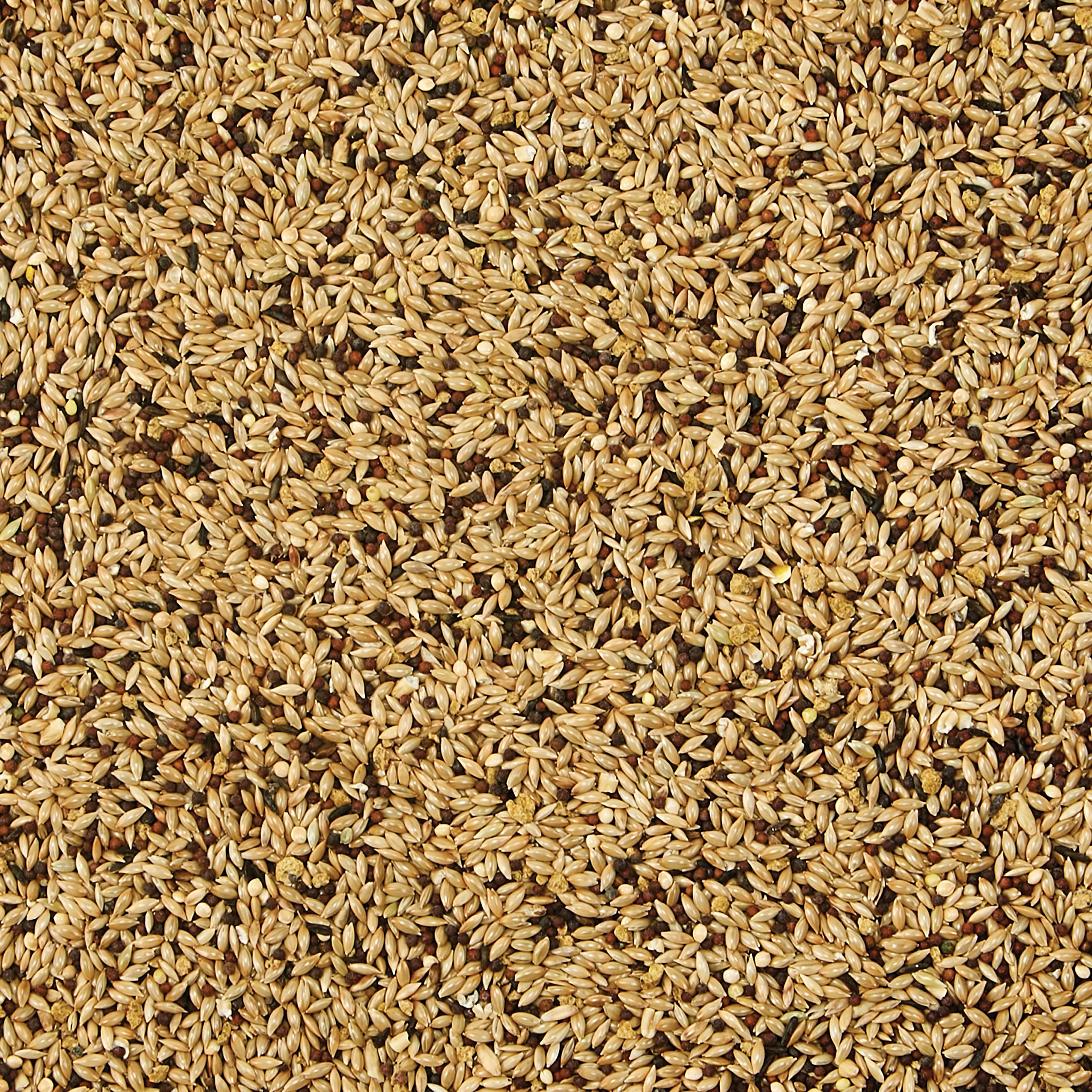 Kaytee Supreme Canary & Finch Food 2lb - Image 4
