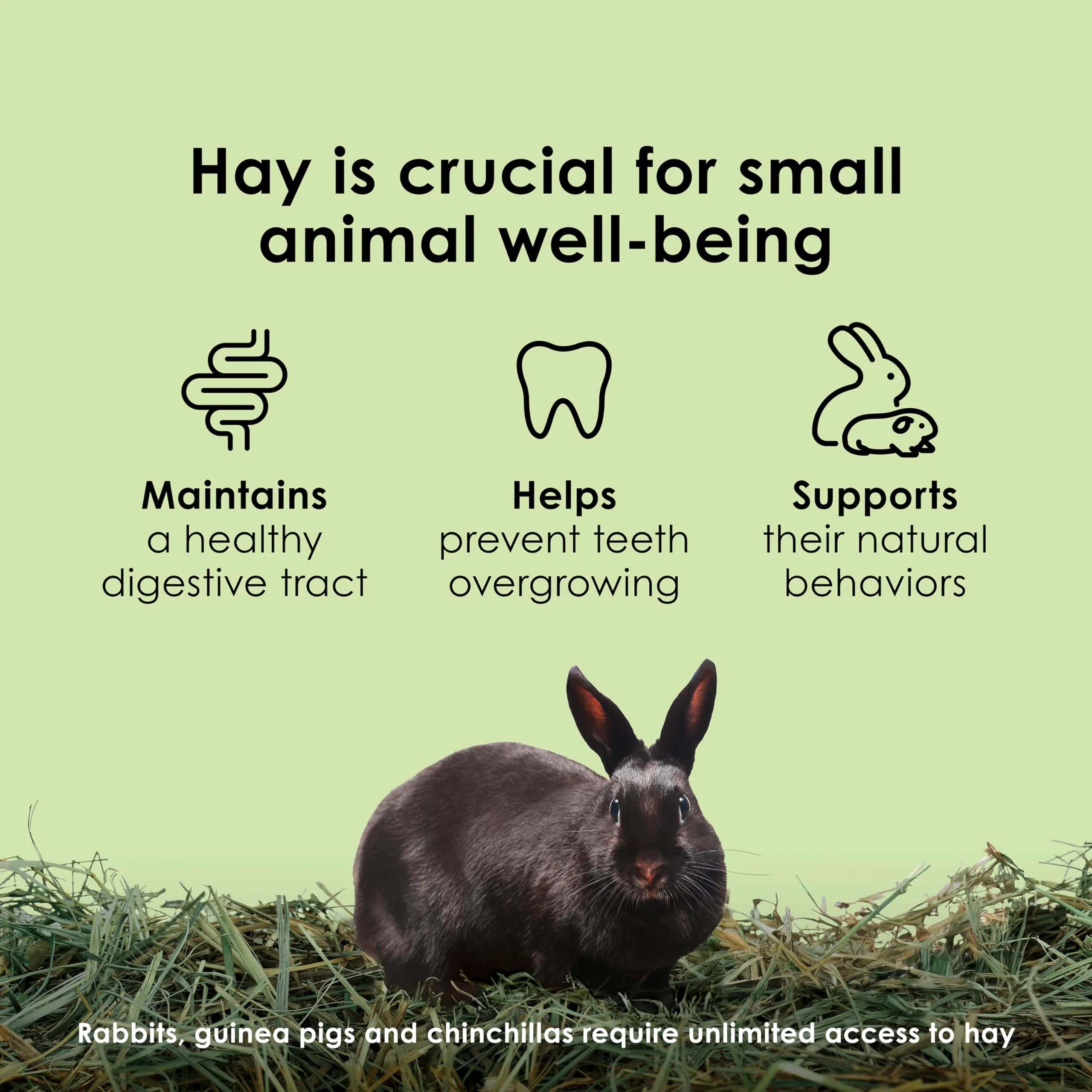 Kaytee Wafer Cut All Natural Timothy Hay for Pet Guinea Pigs, Rabbits & Other Small Animals, 60 Ounce - Image 9