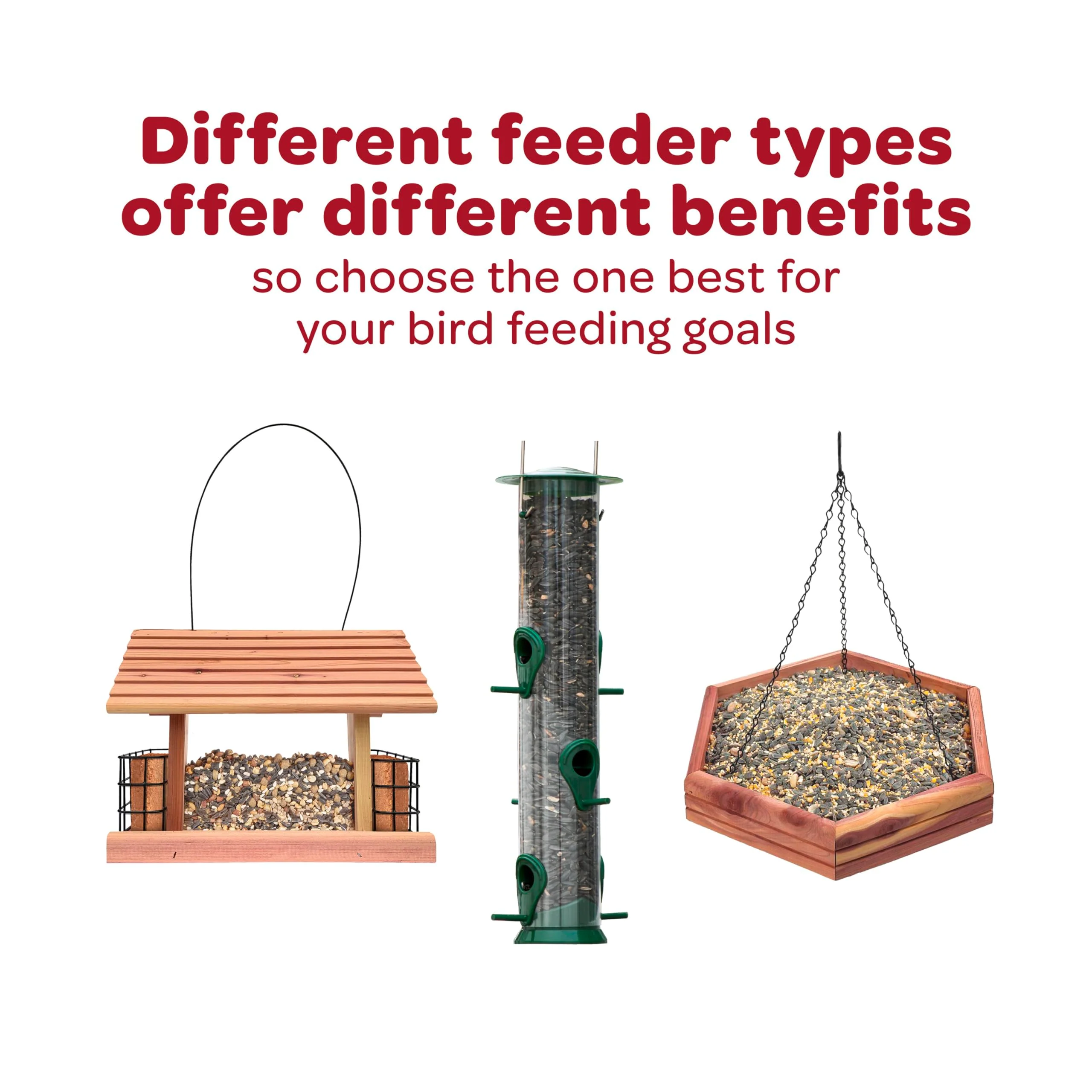 Kaytee Western Regional Wild Bird Seed, 7 lb - Image 11