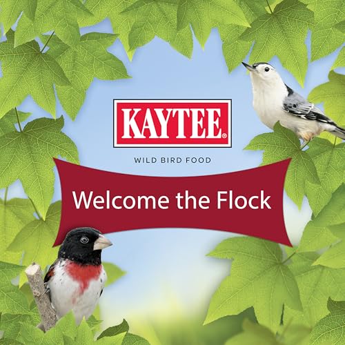 Kaytee Wild Bird Finch Food Blend, 3 lb - Image 2
