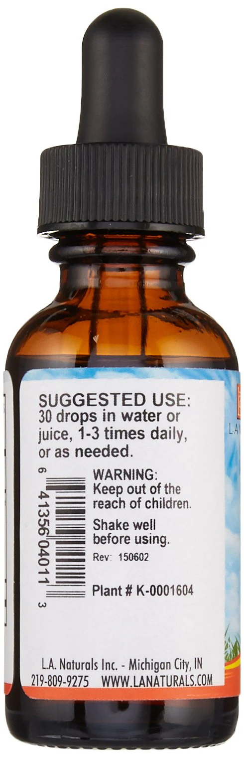 L A NATURALS Dong Quai Imported, 0.02 Pound - Image 3
