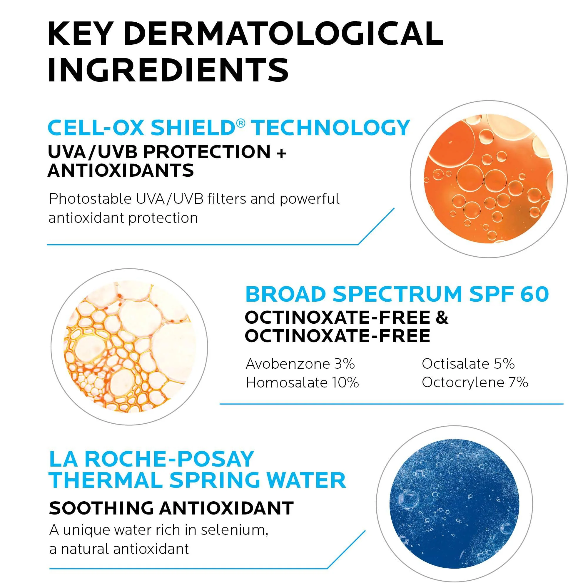 La Roche-Posay Anthelios Melt-In Milk Sunscreen SPF 100, Sunscreen For Body & Face, Broad Spectrum SPF + Antioxidants, Oil Free, For Sun Sensitive Skin, Oxybenzone Free - Image 4