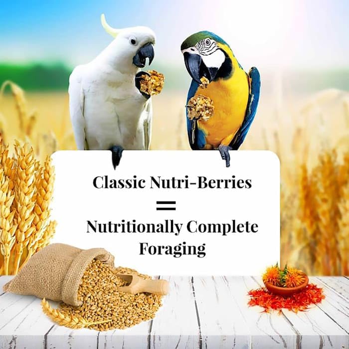 Lafeber's Classic Nutri-Berries for Macaw / Cockatoo 3.5 lb. Tub - Image 4