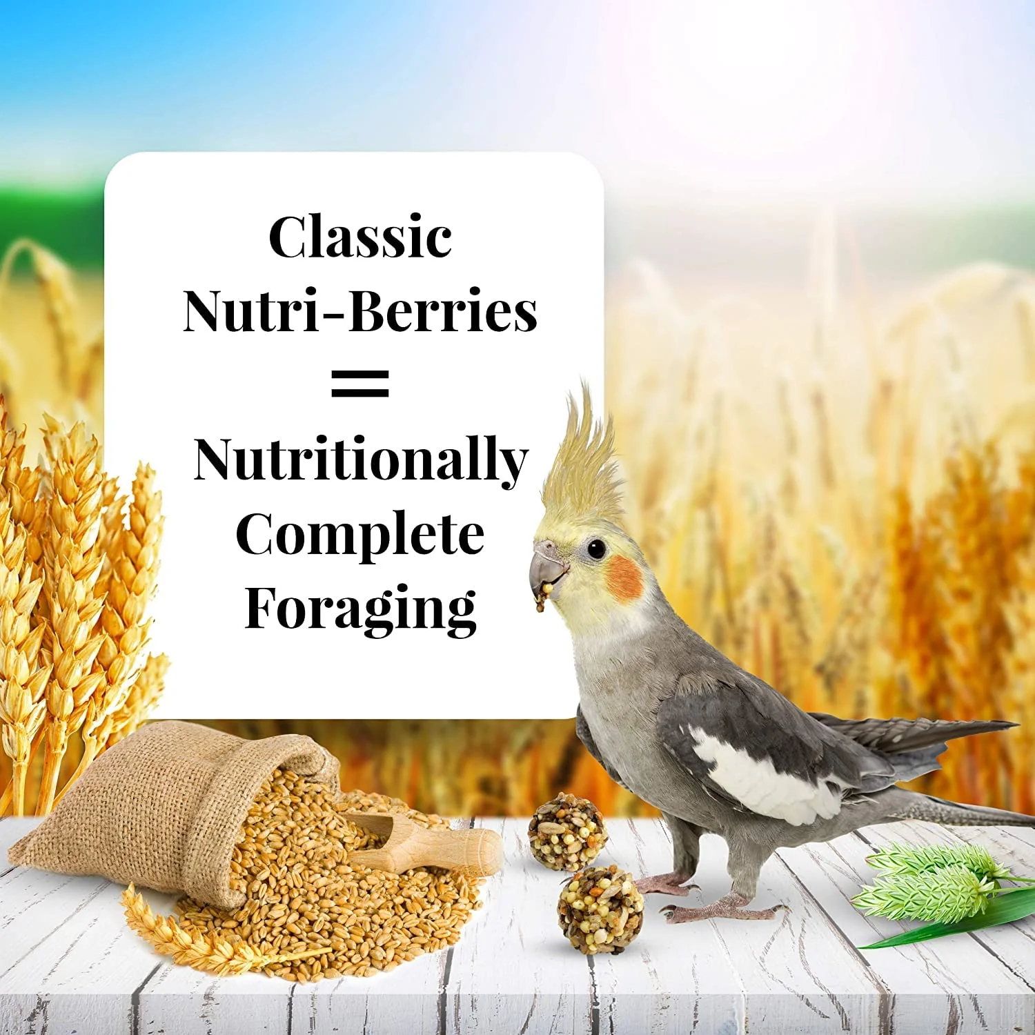 LAFEBER'S Nutriberries Original Cockatiel 2 pk 10 oz - Image 2