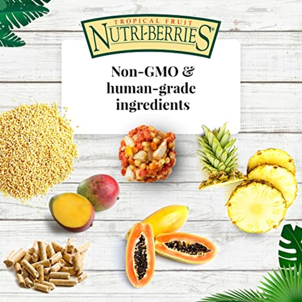 LAFEBER'S Tropical Fruit Nutri-Berries Pet Bird Food, Made with Non-GMO and Human-Grade Ingredients, for Parrots, 3 lb - Image 6
