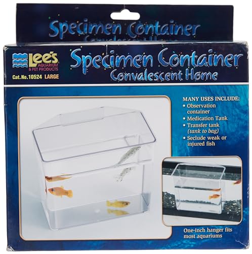 Lee's Convalescent Home/Specimen Container - Large,White , 7 x 3 x 6" - Image 6