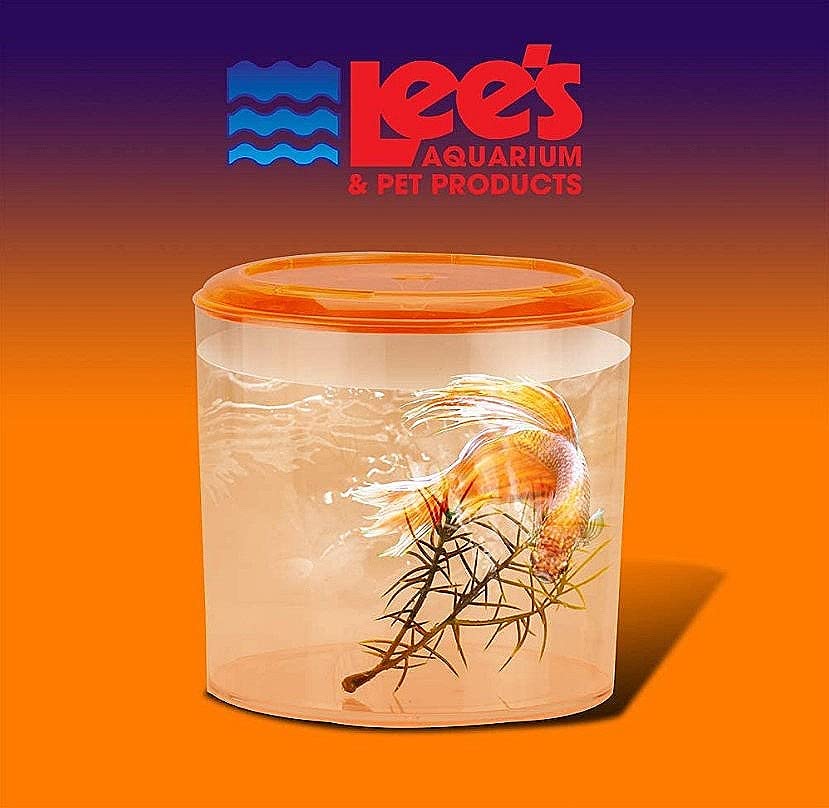 Lee's Round Betta Keeper - Image 2