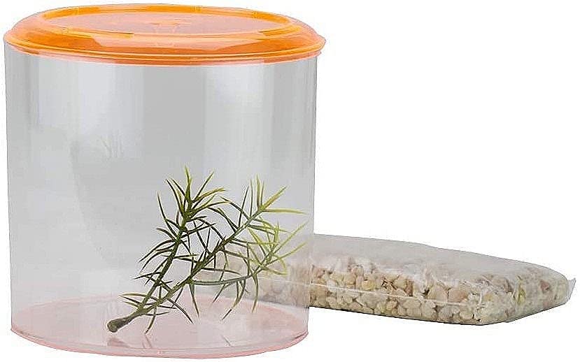 Lee's Round Betta Keeper - Image 4