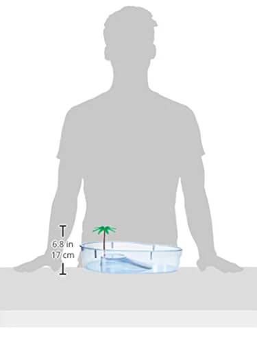 Lee's Turtle Lagoon, Kidney w/ Plant, 14-Inch by 10-1/8-Inch by 3-Inch - Image 2