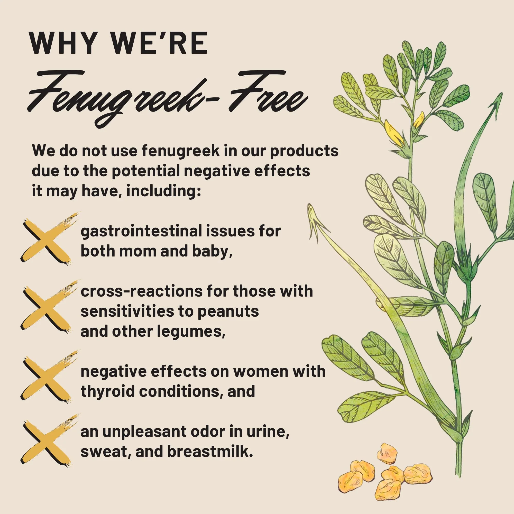 Legendairy Milk Cash Cow Lactation Supplement, Moringa, Alfalfa, and Goat's Rue Breastfeeding Supplement for Milk Supply Increase, Fenugreek-Free, Certified Organic, Vegan, Non-GMO, 60 Capsules - Image 3
