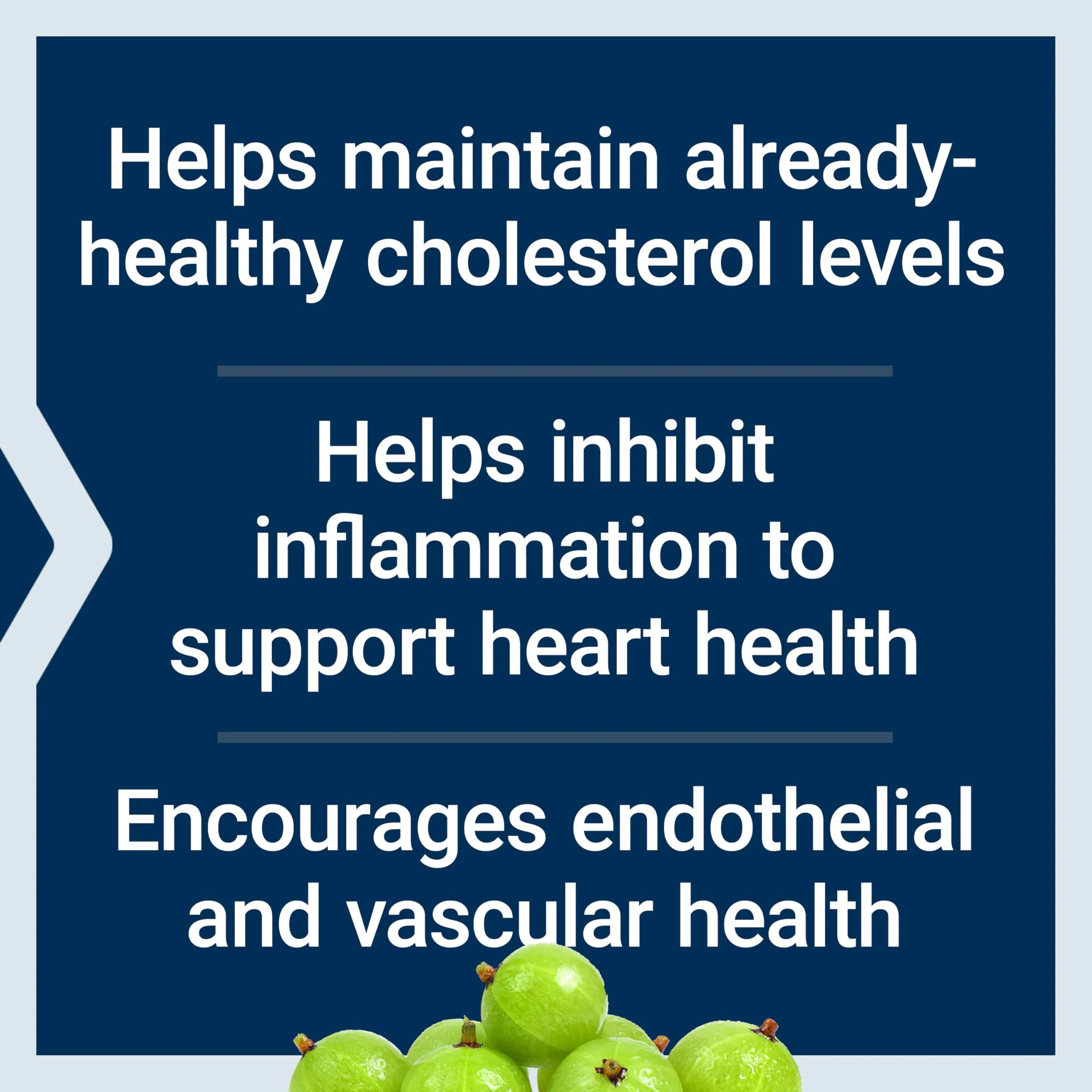 Life Extension Advanced Lipid Control, amla Extract, Indian Gooseberry, Heart Health, endothelial Health, Vegetarian, Gluten-Free, 60 Capsules - Image 8