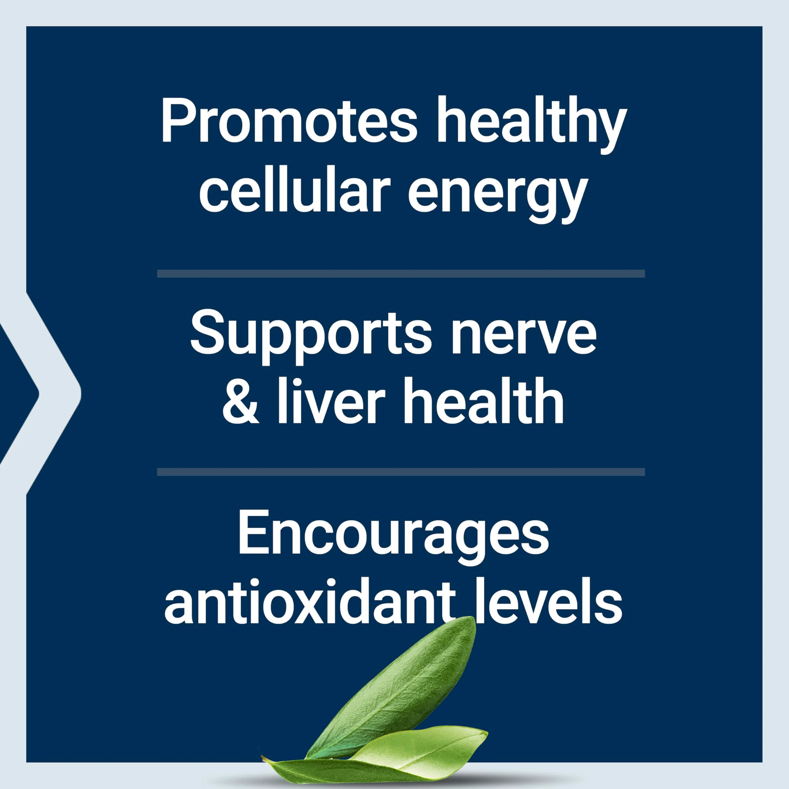 Life Extension Alpha-Lipoic Acid with Biotin, for Cell Protection, Universal antioxidant for Liver & Nerve Health, Gluten-Free, Non-GMO, 60 Capsules - Image 7