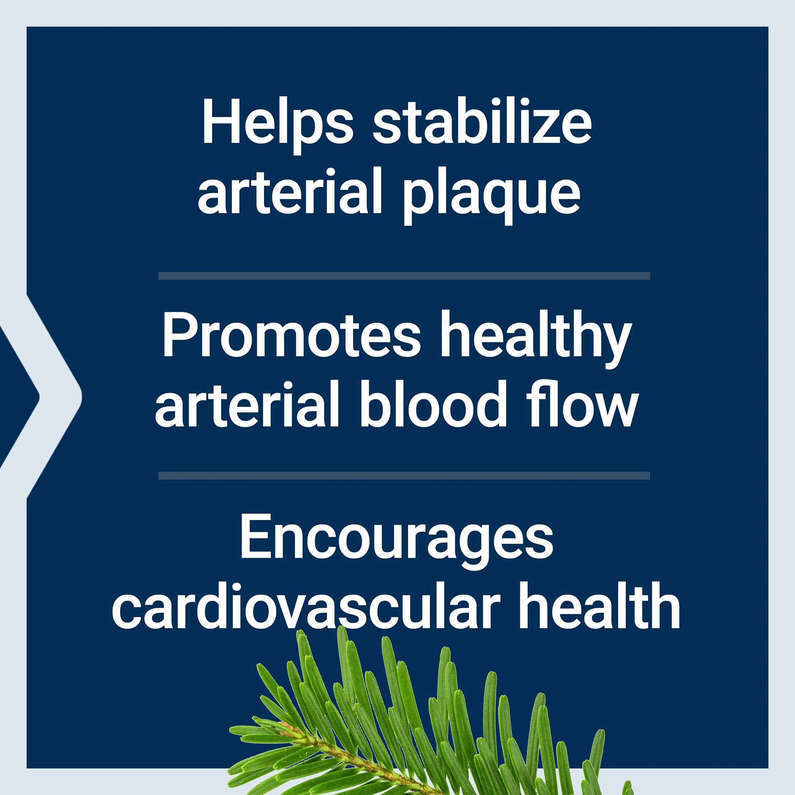 Life Extension Arterial Protect - Blood Pressure Supplement for Heart Health - with gotu kola and Pycnogenol Dried French Maritime Pine bark extracts - Gluten-Free, Non-GMO, Vegetarian - 30 Capsules - Image 7