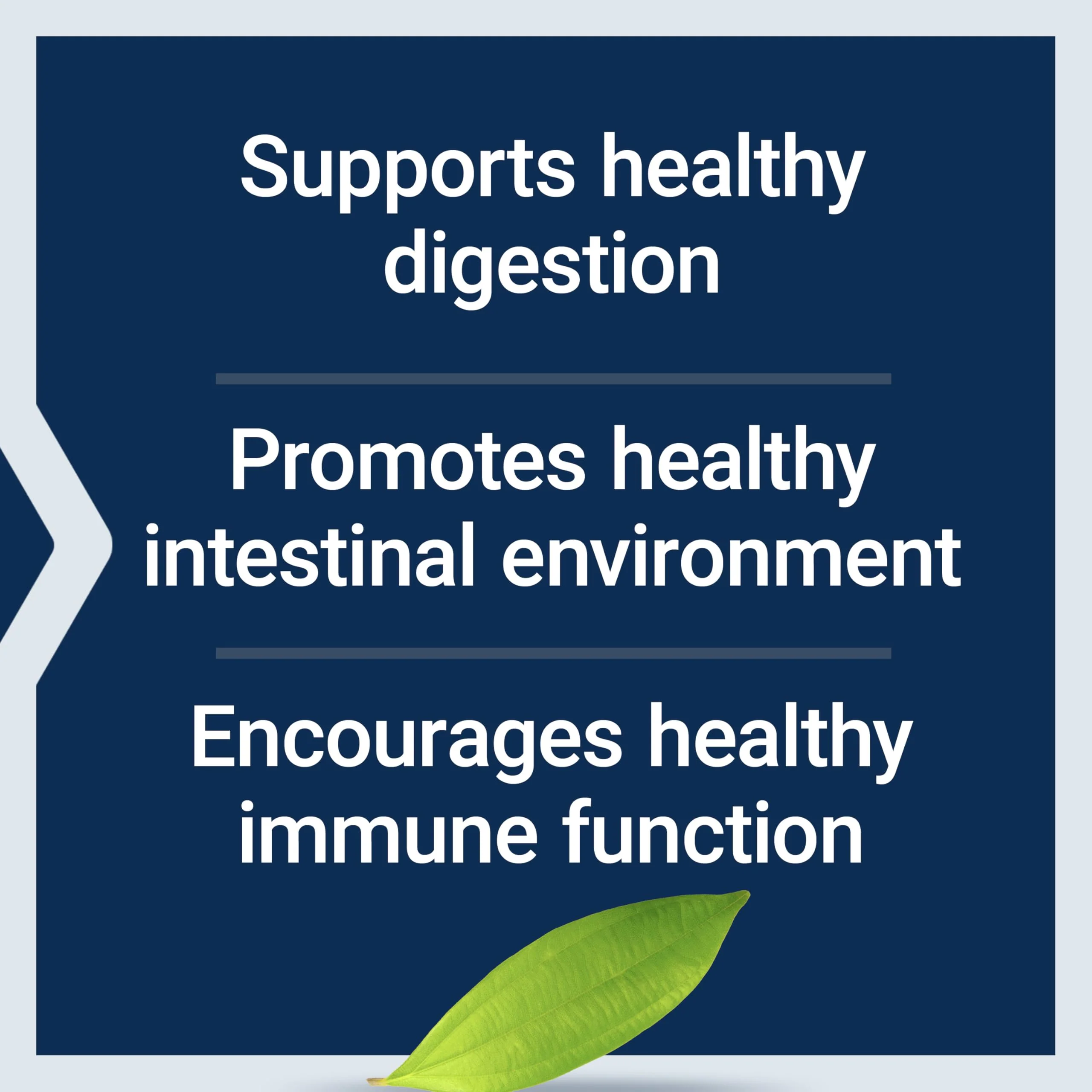 Life Extension Bifido GI Balance, probiotics, Bifidobacterium longum BB536® (2 Billion CFU), Support Healthy Gut & Digestive Health, Gluten-Free, Non-GMO, Vegetarian, 60 Capsules - Image 7