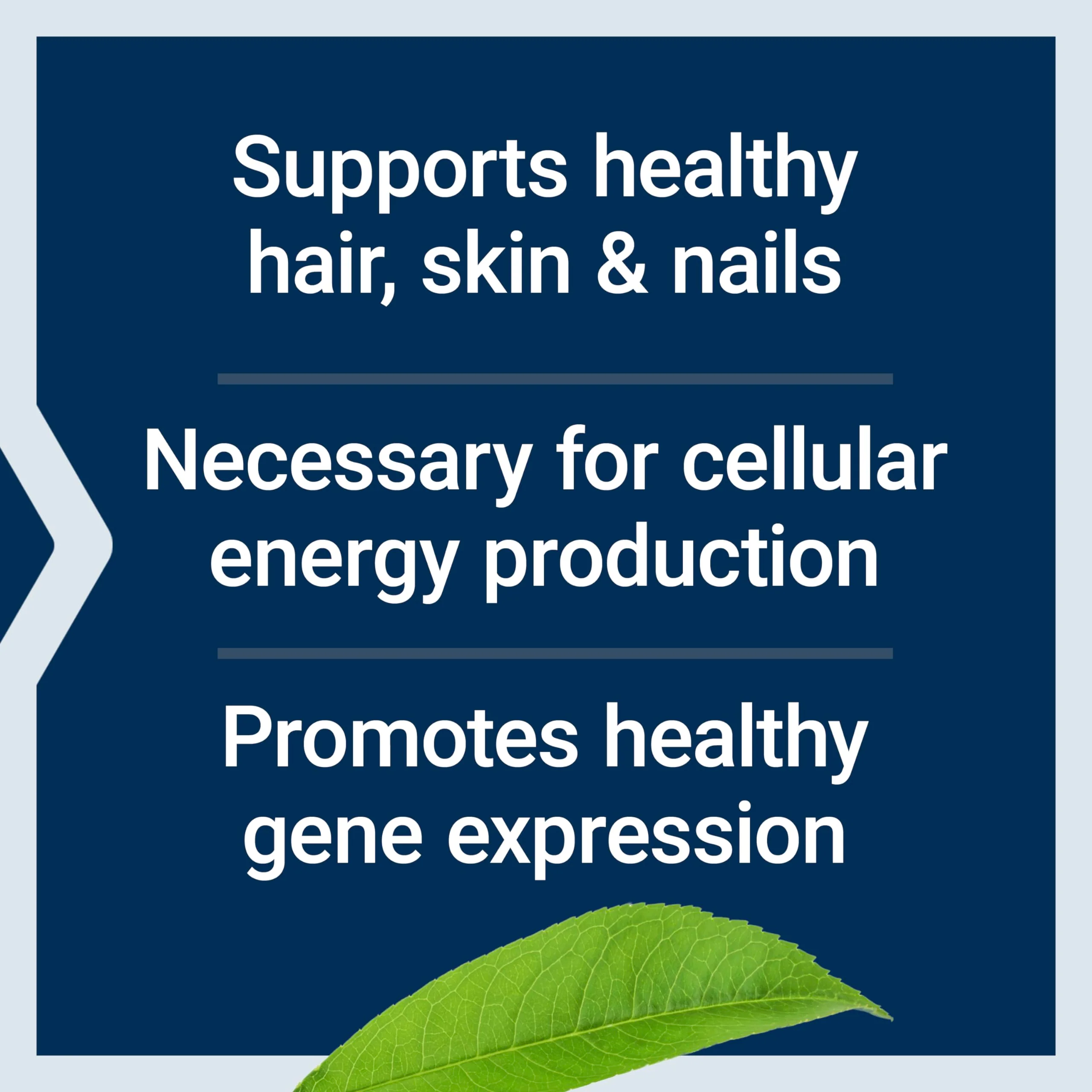 Life Extension Biotin 600 mcg Vitamin B7 Support Supplement for Beautiful Hair, Nails & Beyond – Gluten-Free, Non-GMO - 100 Capsules - Image 6