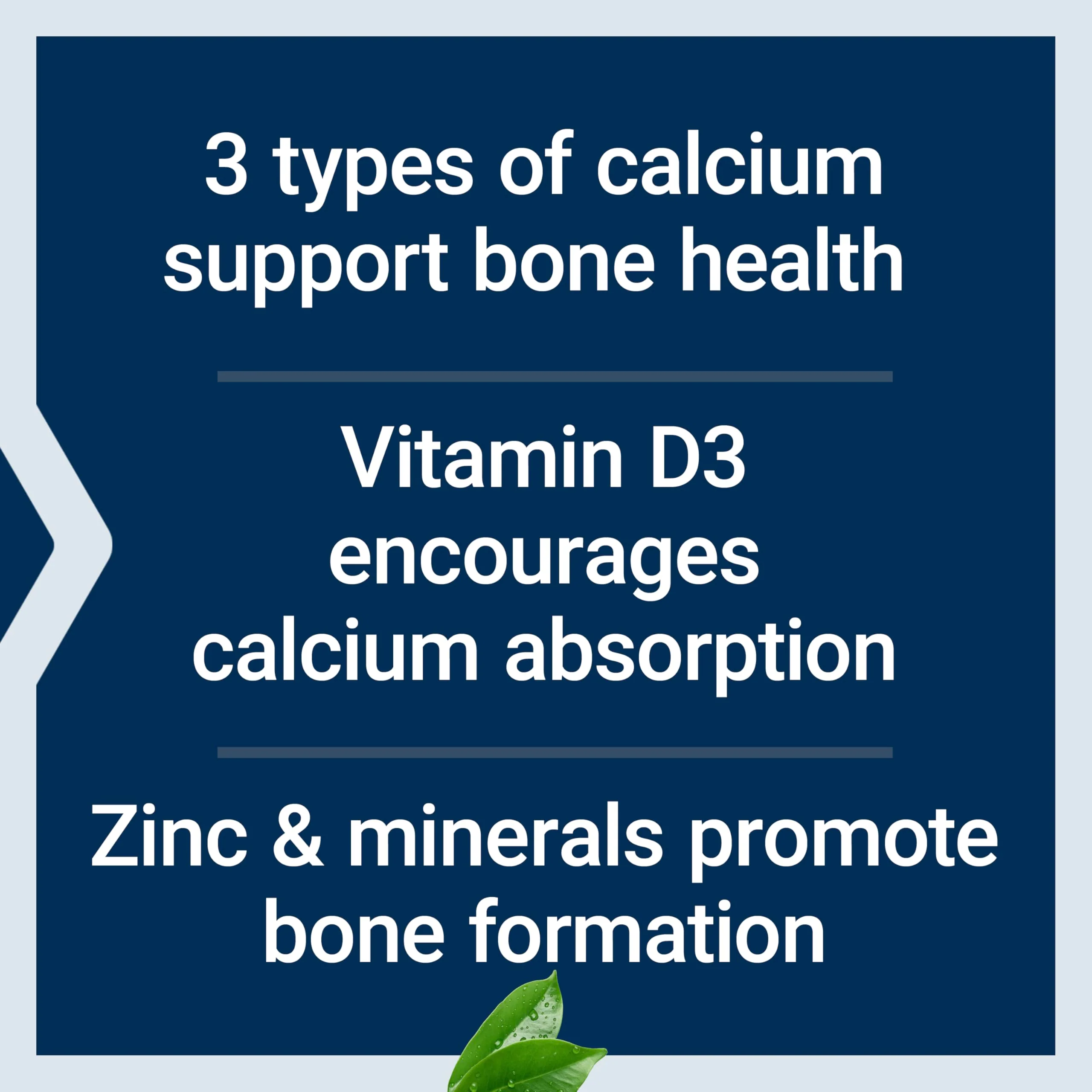 Life Extension Bone Restore Calcium Supplement, Vitamin D3, Magnesium, Boron, zinc, Manganese, Silicon, Helps Maintain Healthy Bone Density, Gluten-Free, Non-GMO, 120 Capsules - Image 8