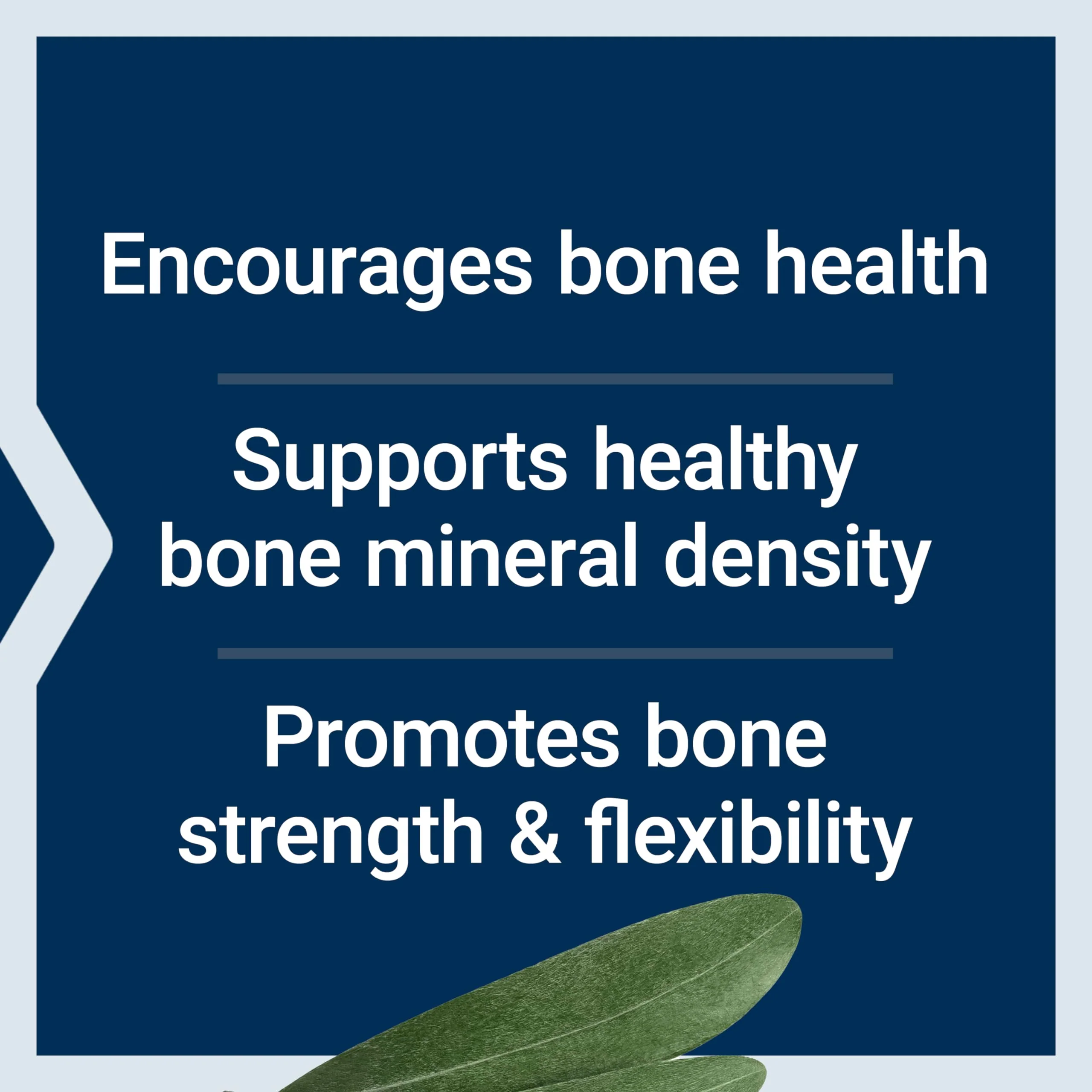 Life Extension Bone Strength Collagen Formula, Calcium Collagen chelate, Calcium fructoborate, Vitamin D3, Magnesium Citrate, Silicon, Boron, Gluten-Free, Non-GMO, 120 Capsules - Image 8