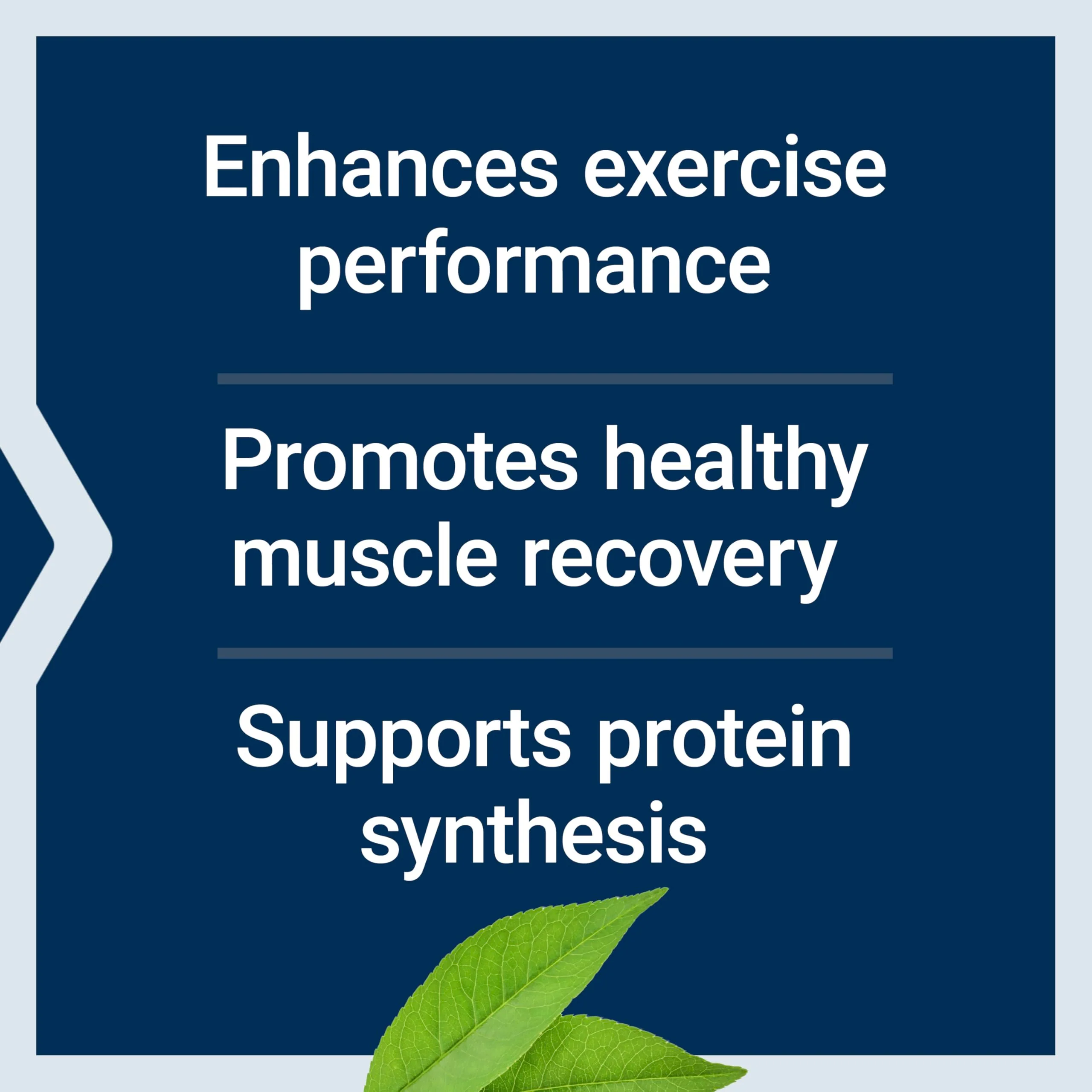 Life Extension Branched Chain Amino Acids (BCAAs), leucine, isoleucine, valine, Promotes Muscle Recovery After Exercise, Gluten-Free, Non-GMO, 90 Capsules - Image 8