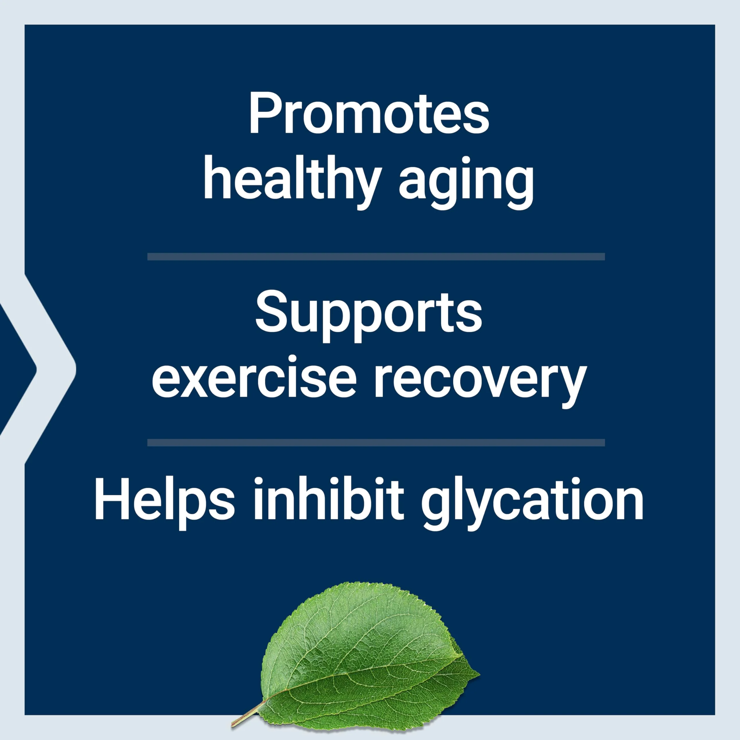 Life Extension Carnosine, Healthy Aging, Exercise Recovery, Gluten-Free, Non-GMO, Vegetarian, 60 Capsules - Image 7