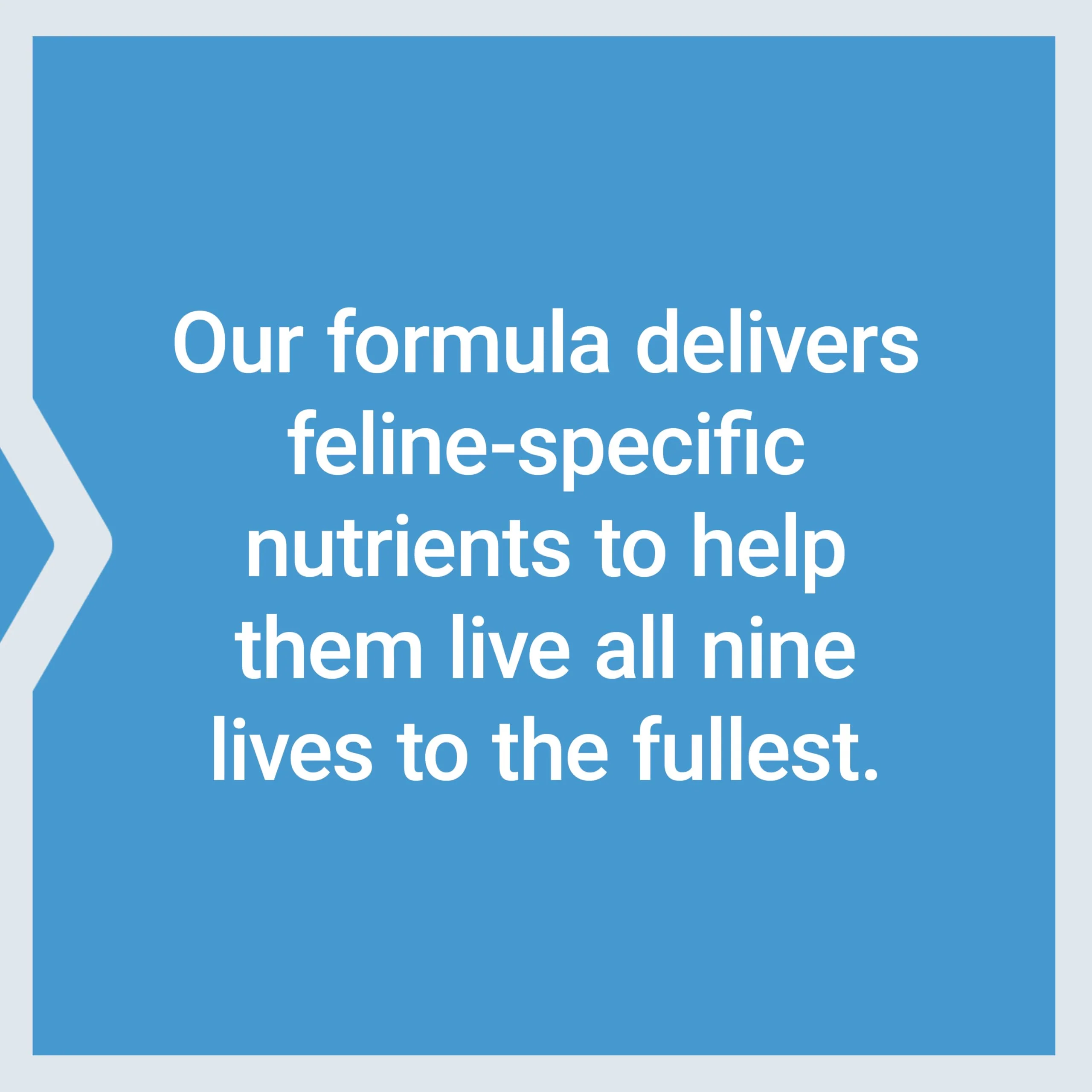 Life Extension Cat Mix, cat Food Supplements, Heart Health, probiotics, L-arginine, Taurine, B12, folic Acid, Vitamin C, Vitamin E, Rosemary, Nutrient Absorption, Gluten-Free, Non-GMO, 85 Servings - Image 3
