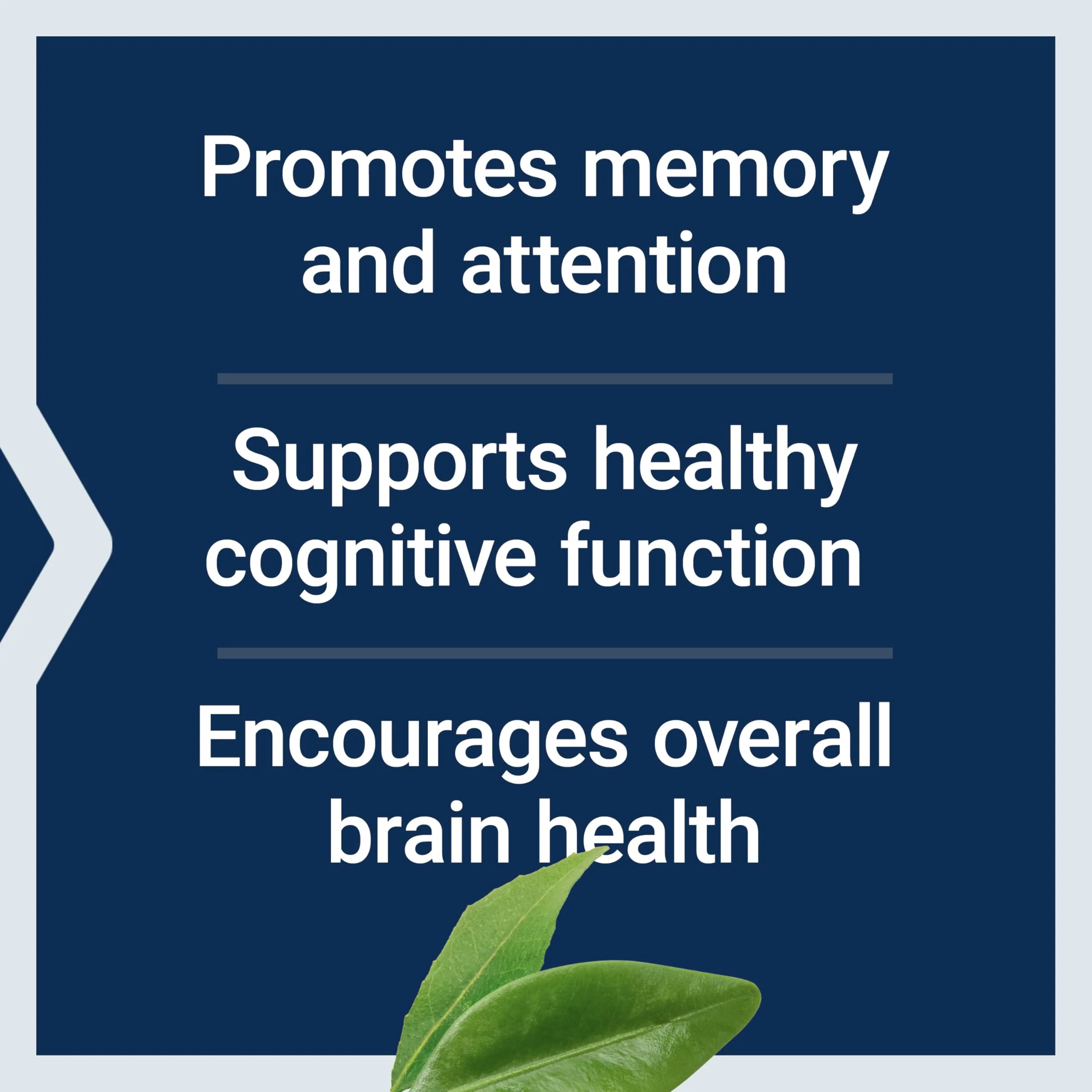 Life Extension Citicoline (CDP-Choline) - Citicoline Supplement for Brain & Cognitive Health, Focus, Attention, Memory Function - Non-GMO, Gluten Free, Vegetarian - 60 Capsules - Image 23