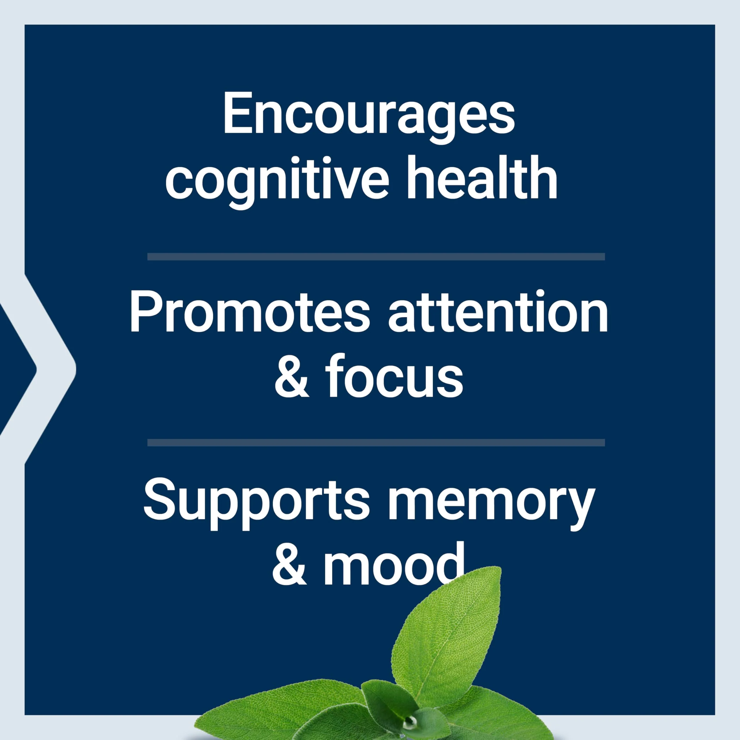 Life Extension Cognitex® Elite, sage, Blueberry, ashwagandha, phosphatidylserine, vinpocetine, Attention, Focus, Mood & Memory, Gluten-Free, Non-GMO, Vegetarian, 60 Tablets - Image 8
