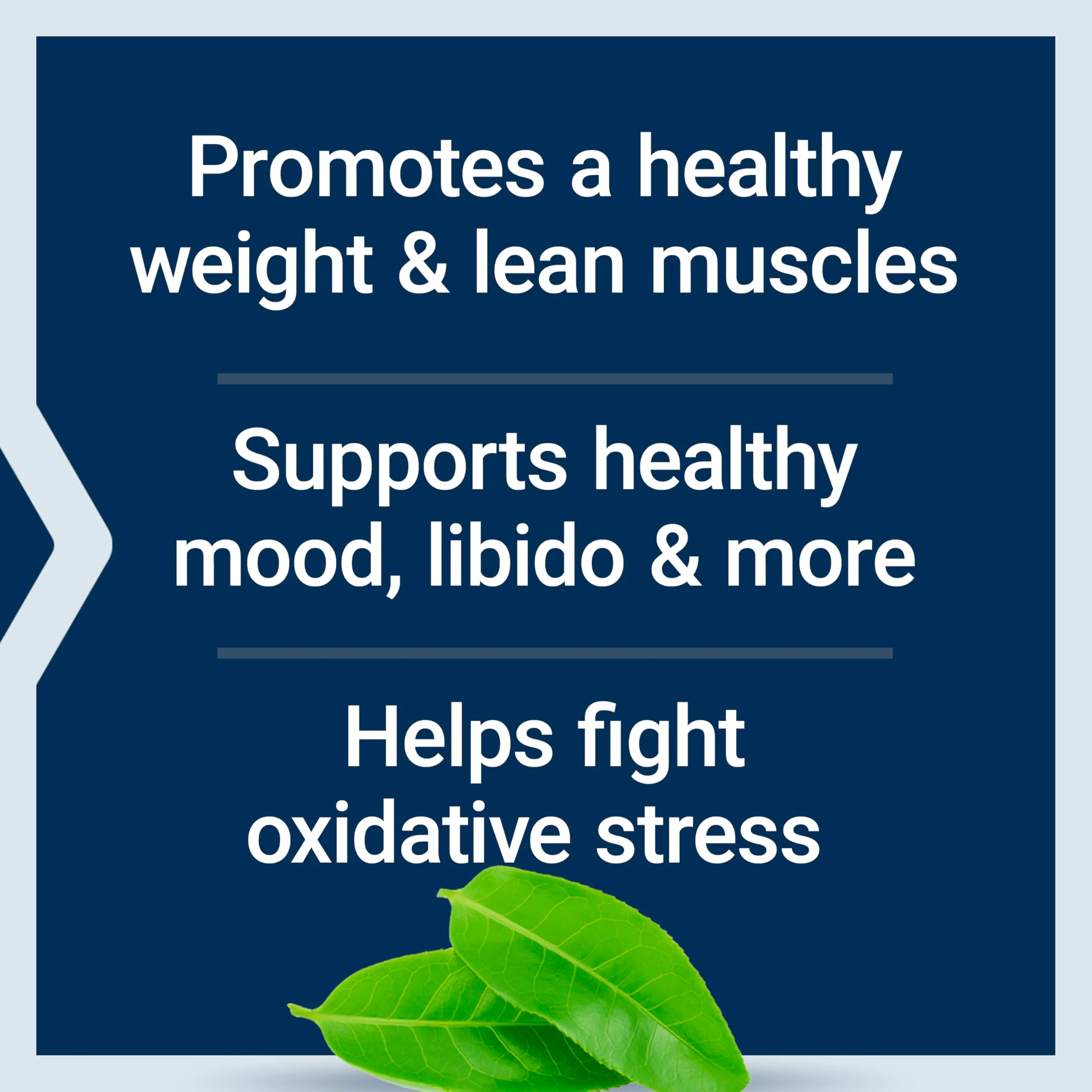 Life Extension DHEA and 7-Keto DHEA Complete Vegetarian Capsules to Maximize Support of a Healthy Body Weight & Mood, Lean Muscle Mass, Libido & More, Non-GMO, Gluten-Free, 60 Count - Image 10