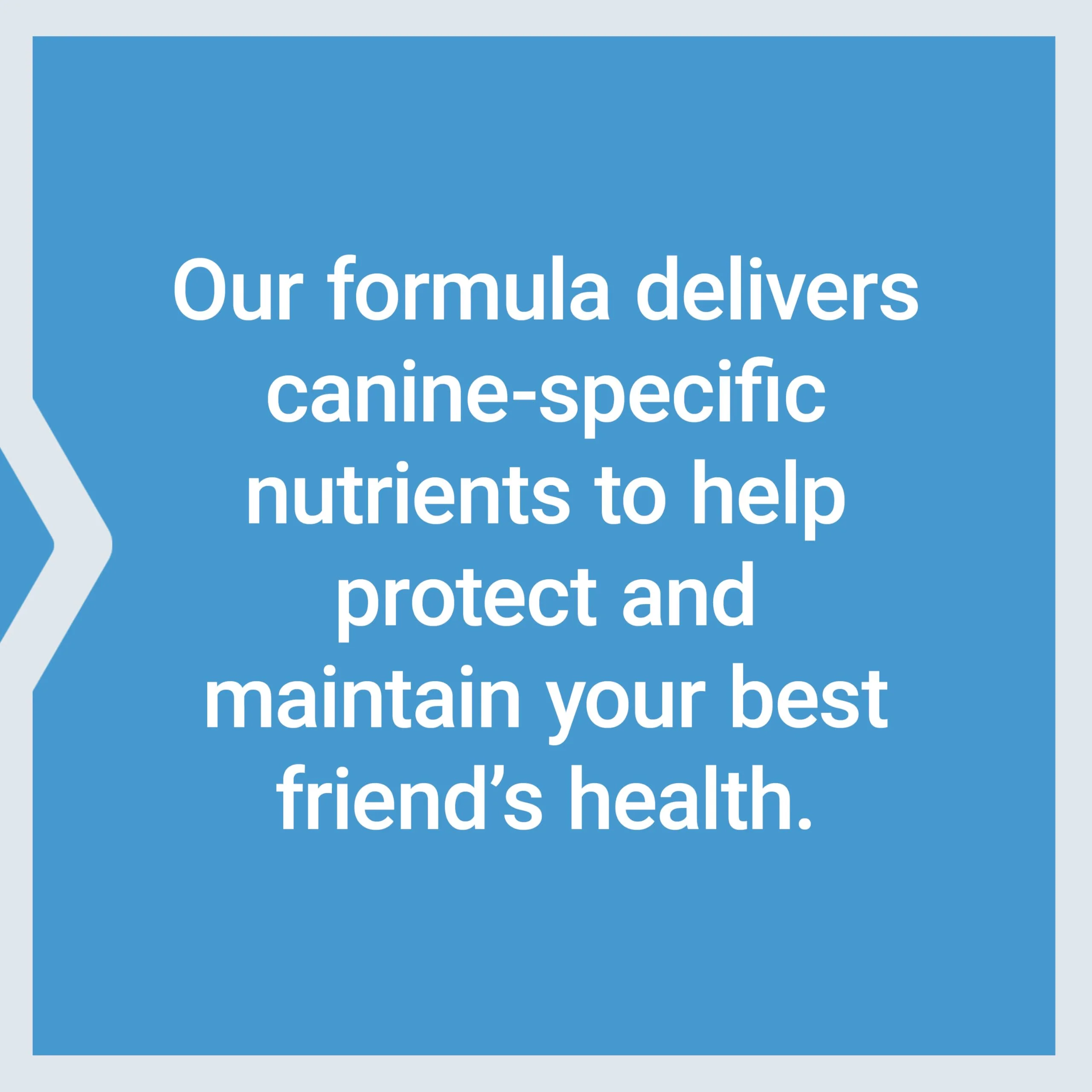 Life Extension Dog Mix, Dog Vitamins and Supplements, probiotics, L-carnitine, B12, folic Acid, Vitamin C, Vitamin E, Rosemary, Nutrient Absorption, Gluten-Free, Non-GMO, 60 Servings - Image 4
