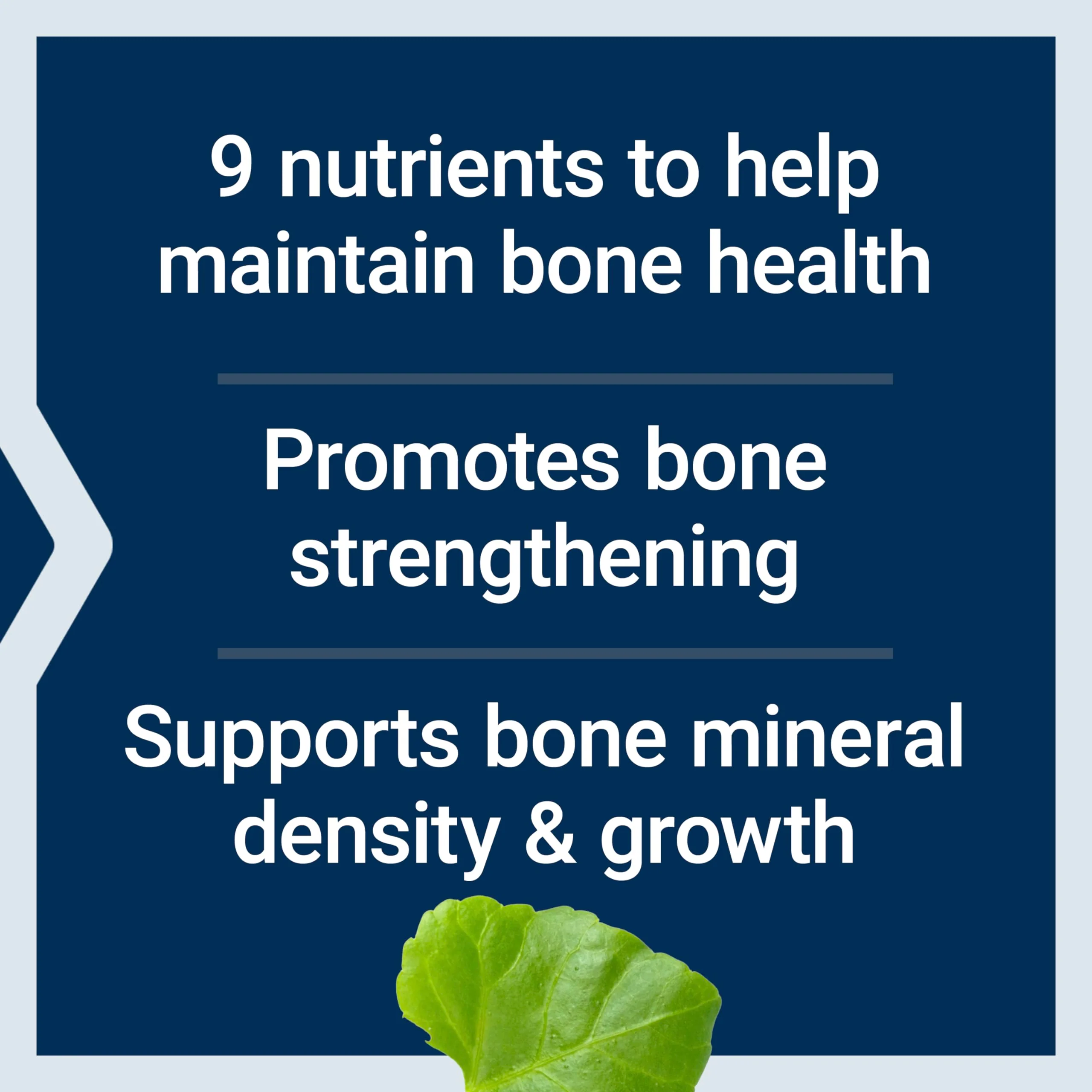 Life Extension Dr. Strum's Intensive Bone Formula, Cissus quadrangularis, Calcium, Vitamin D3, K2, Magnesium, zinc, Potassium, Boron, Bone Health Support Formula, Gluten Free, Non-GMO, 300 Capsules - Image 7